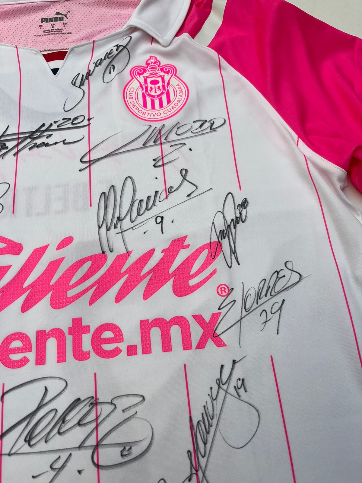 Jersey Chivas Pink Project 2021 2022 Autografiado Match Worn Fernando Beltrán (L)
