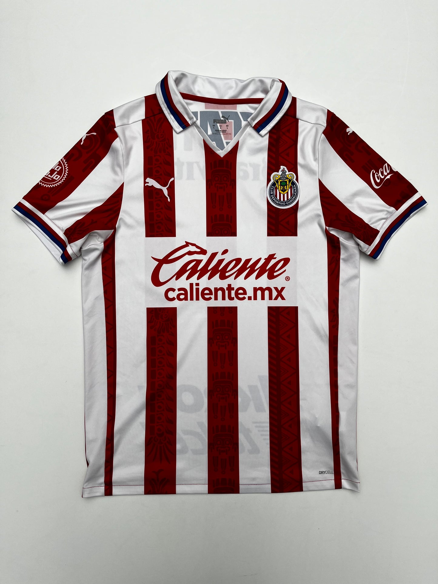 Jersey Chivas Local 2020 2021 (L)
