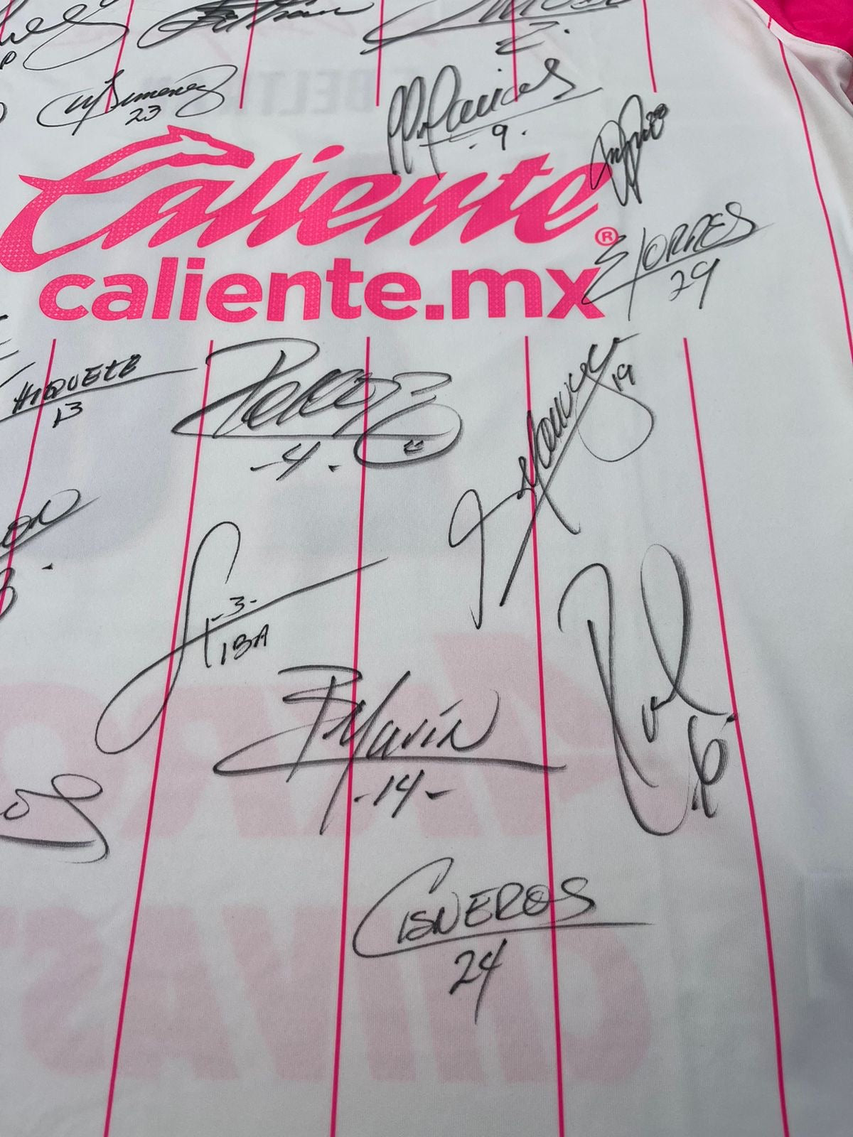 Jersey Chivas Pink Project 2021 2022 Autografiado Match Worn Fernando Beltrán (L)