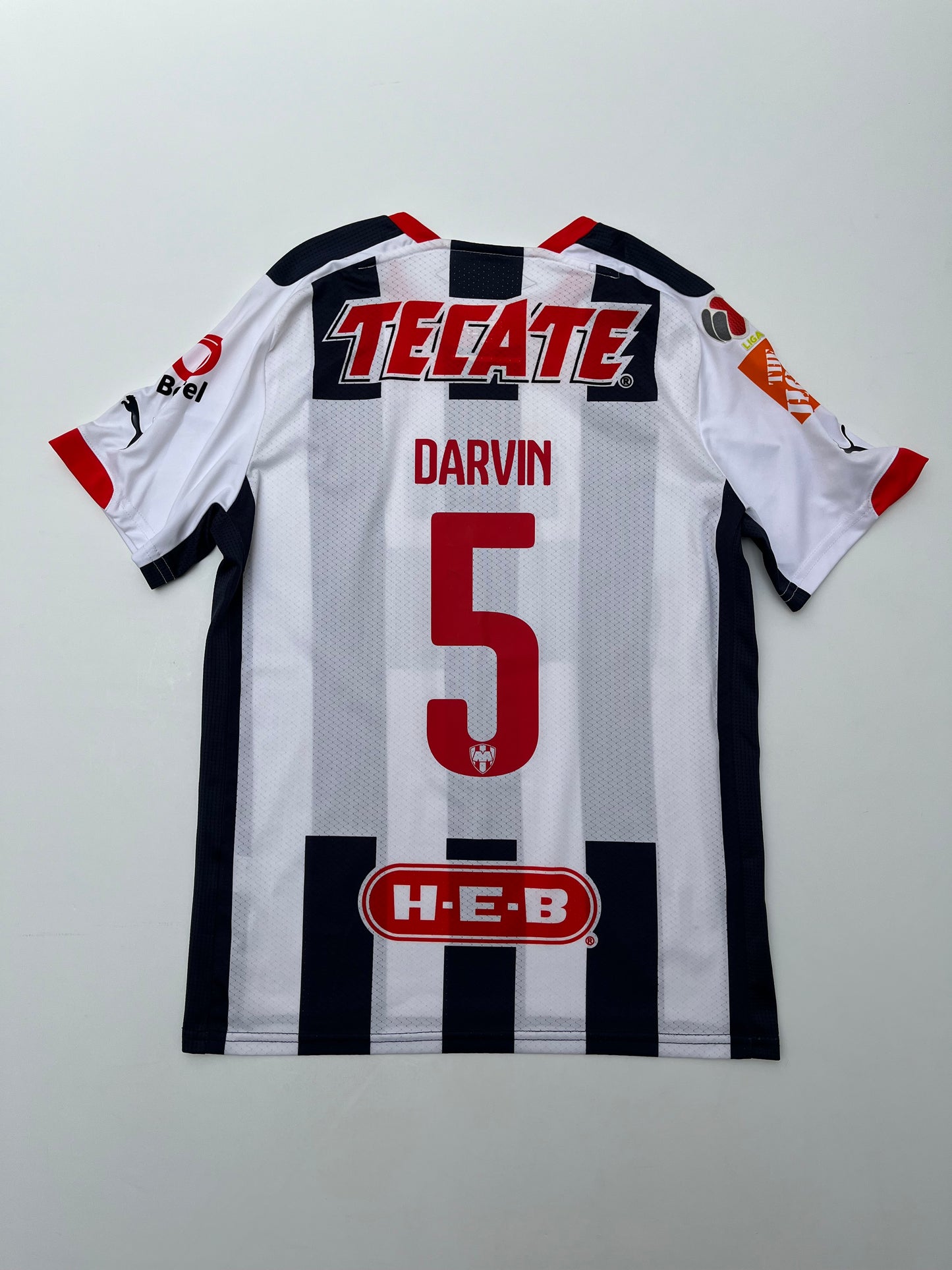 Jersey Rayados Monterrey Local 2014 2015 Utilería Darvin Chávez (M)