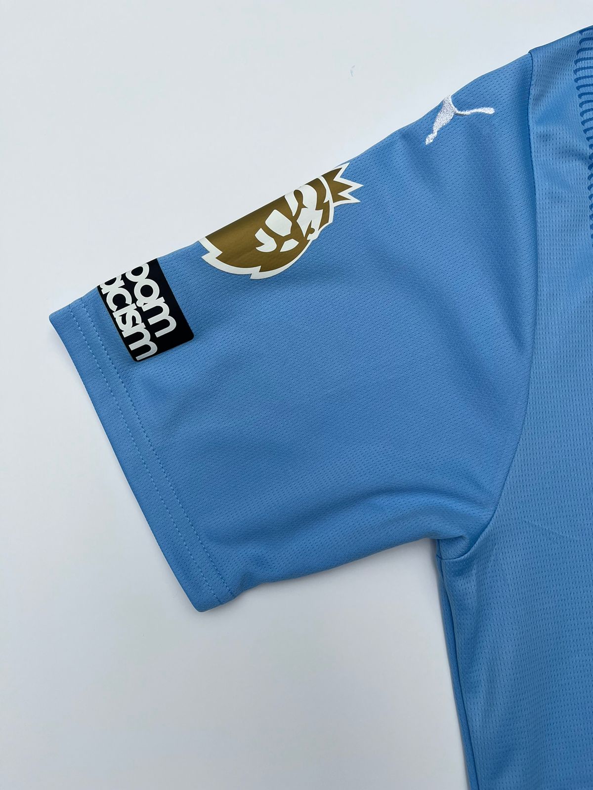 Jersey Manchester City Local 2023 2024 Erling Haaland (M)
