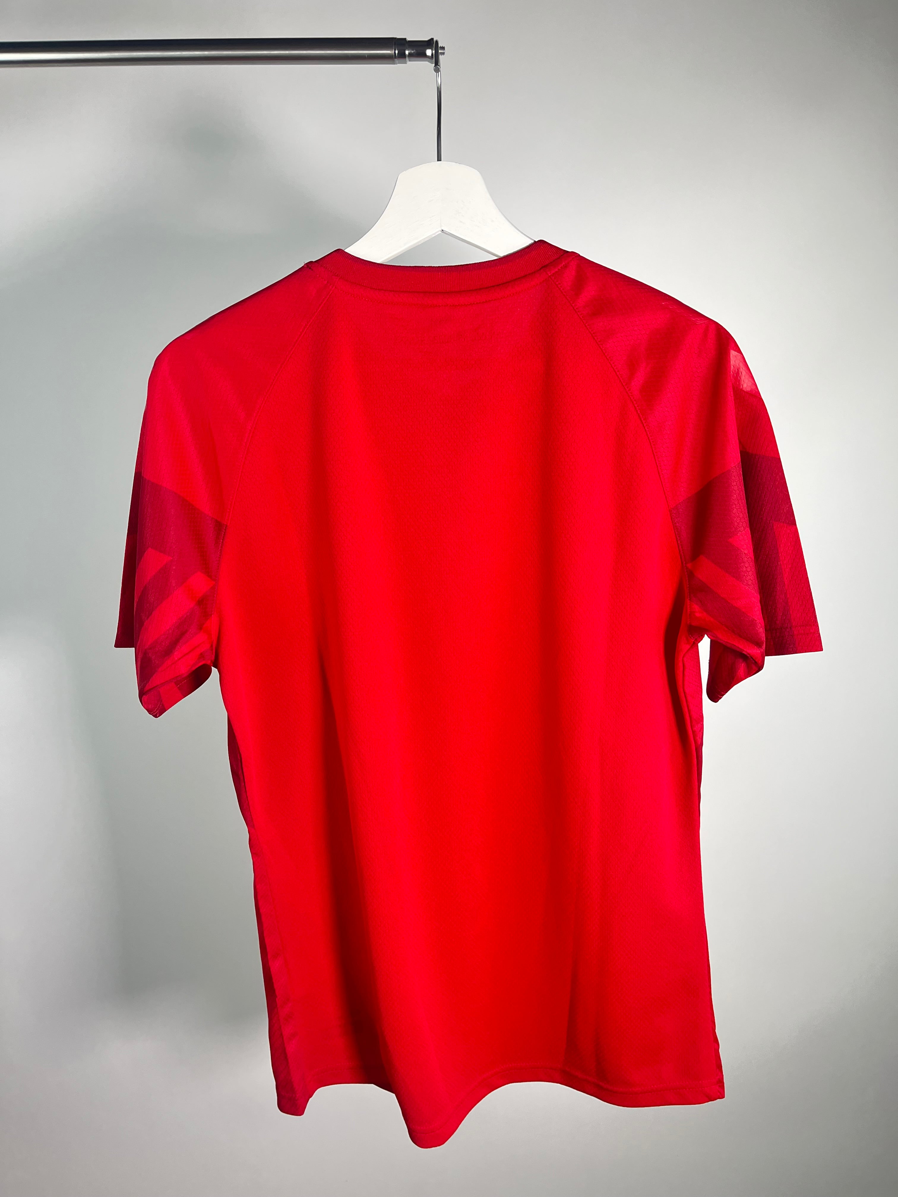 Jersey Dinamarca Local 2022 2024 (S)