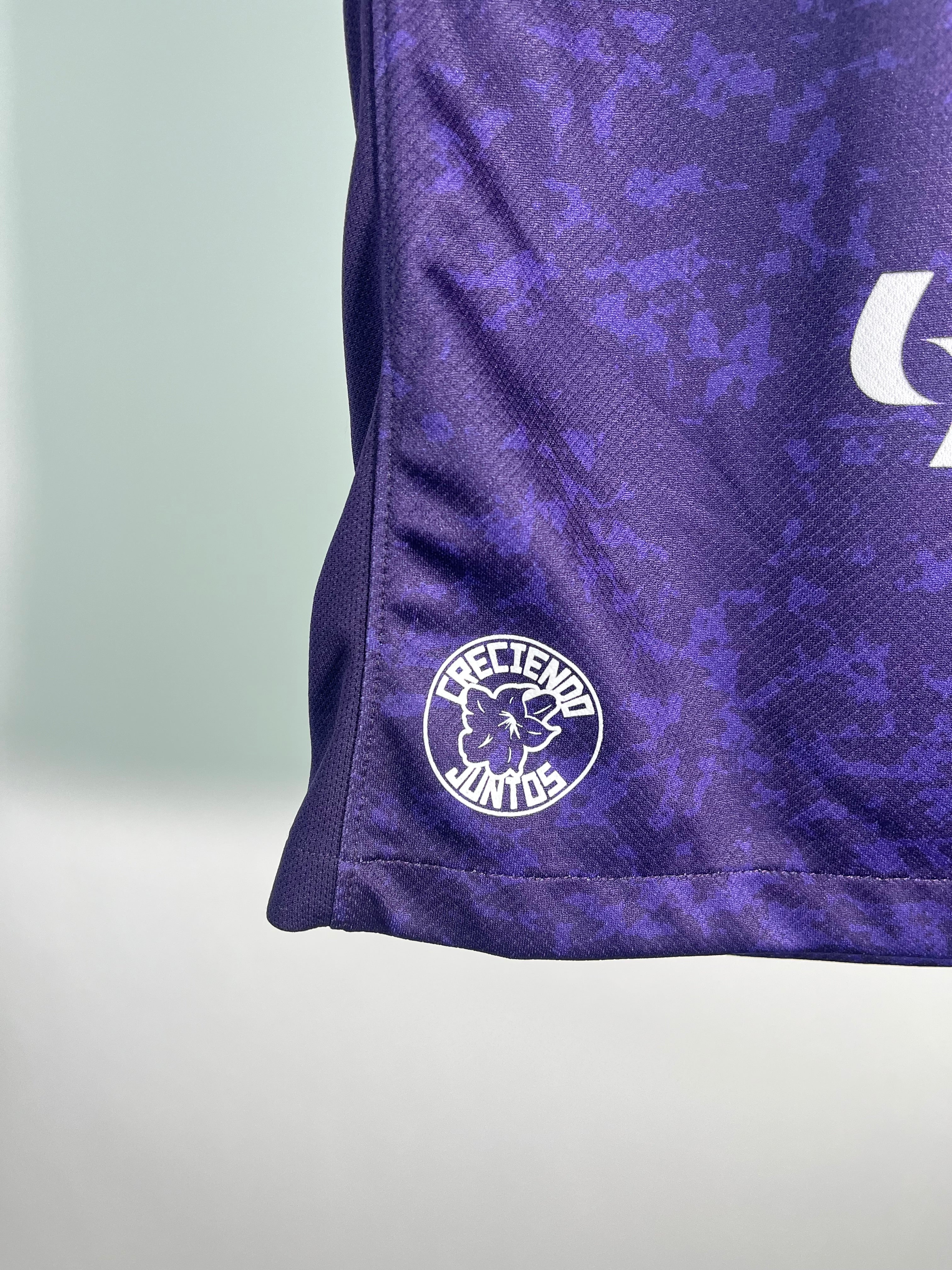 Jersey Pumas Tercera 2024 2025 *C/Etiquetas* (M Niño)