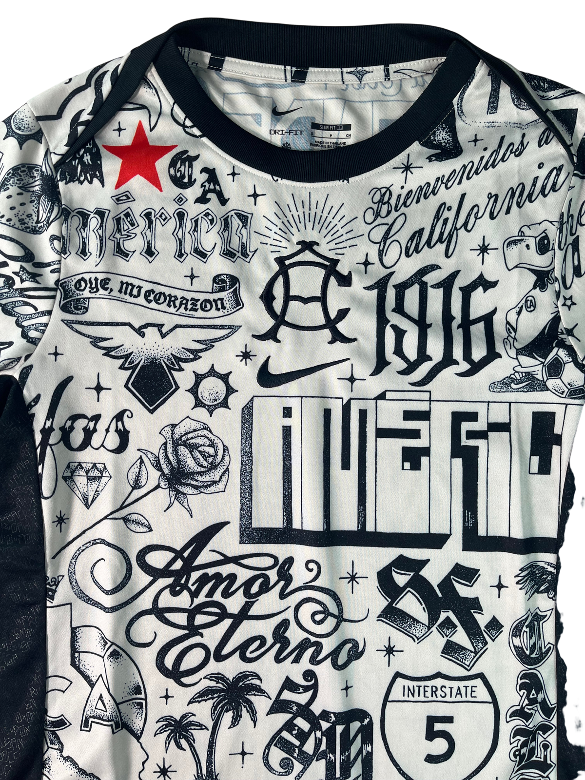 Jersey Club América Entrenamiento 2024 2025 (S)
