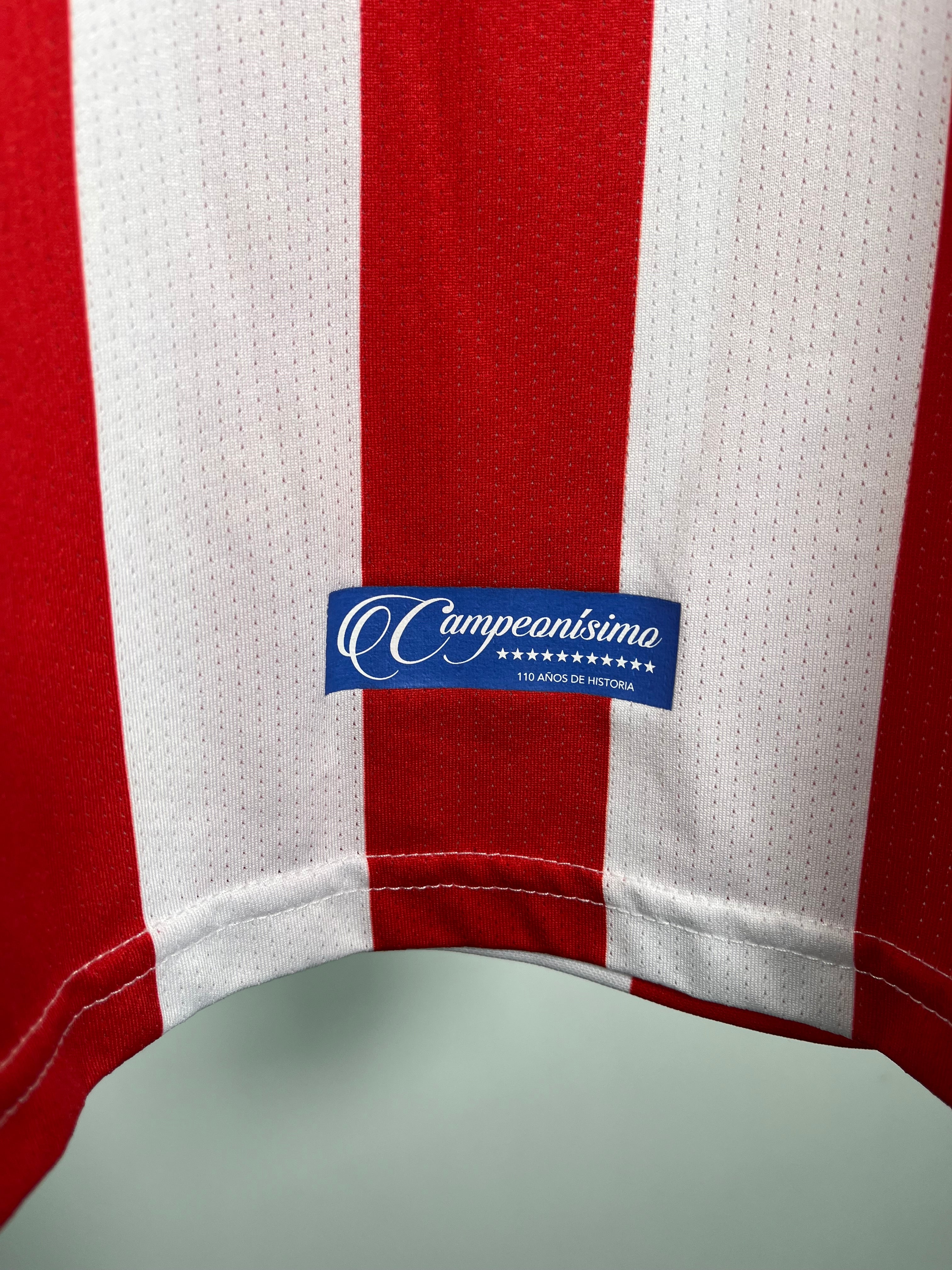 Jersey Chivas Especial Aniversario 2016 2017 *110 Aniversario* (M)