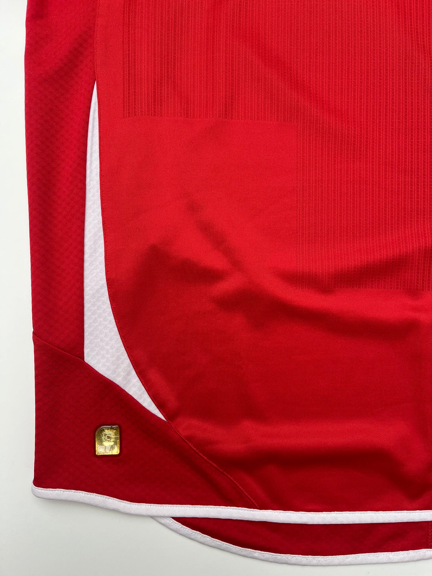 Jersey Suiza Local 2010 2012 (L)
