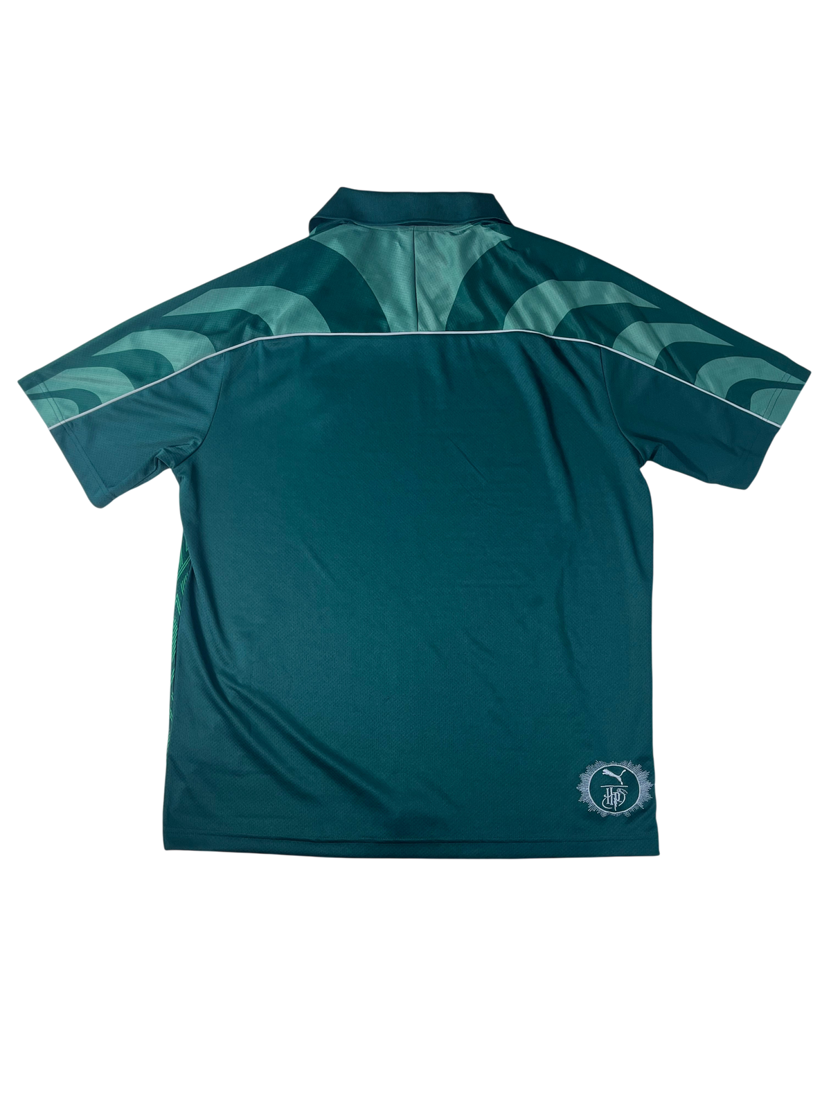 Jersey Harry Potter Slytherin Especial 2025 (M)
