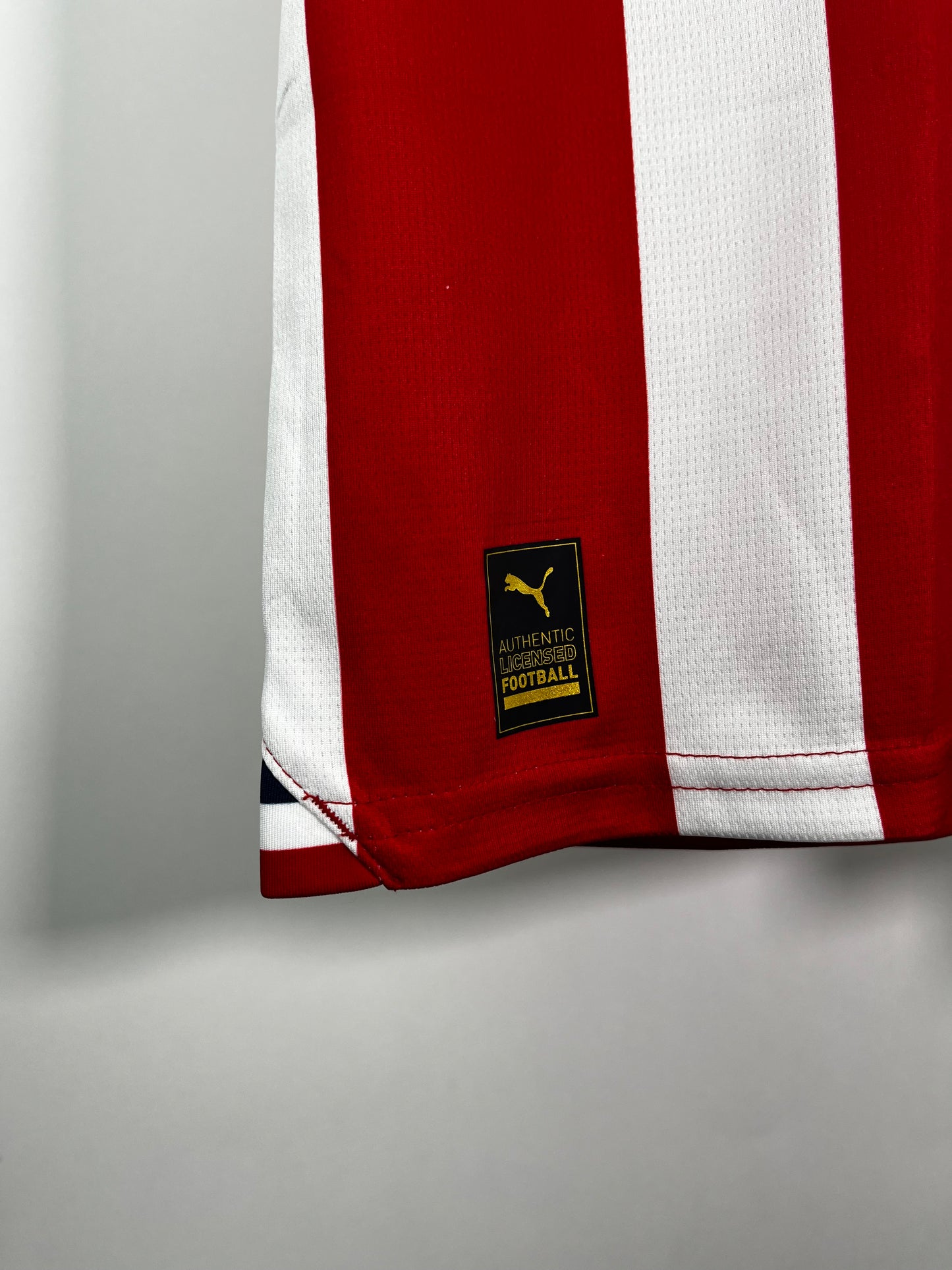 Jersey Chivas Local 2023 2024 Víctor “Pocho” Guzmán (L)