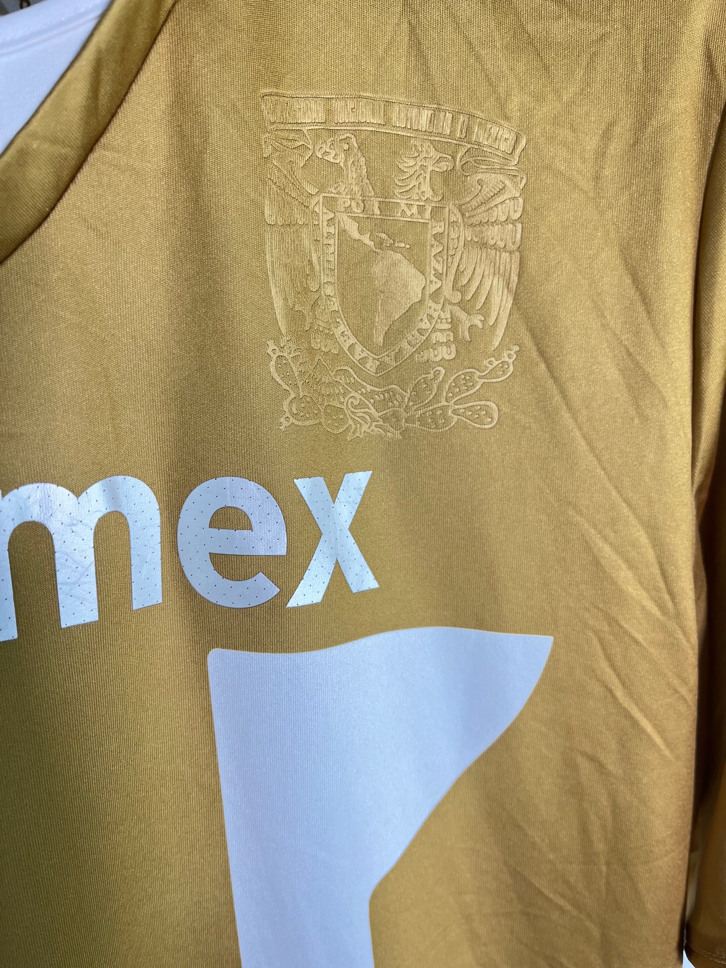 Jersey Pumas Local 2013 2014 Darío Verón (XL)