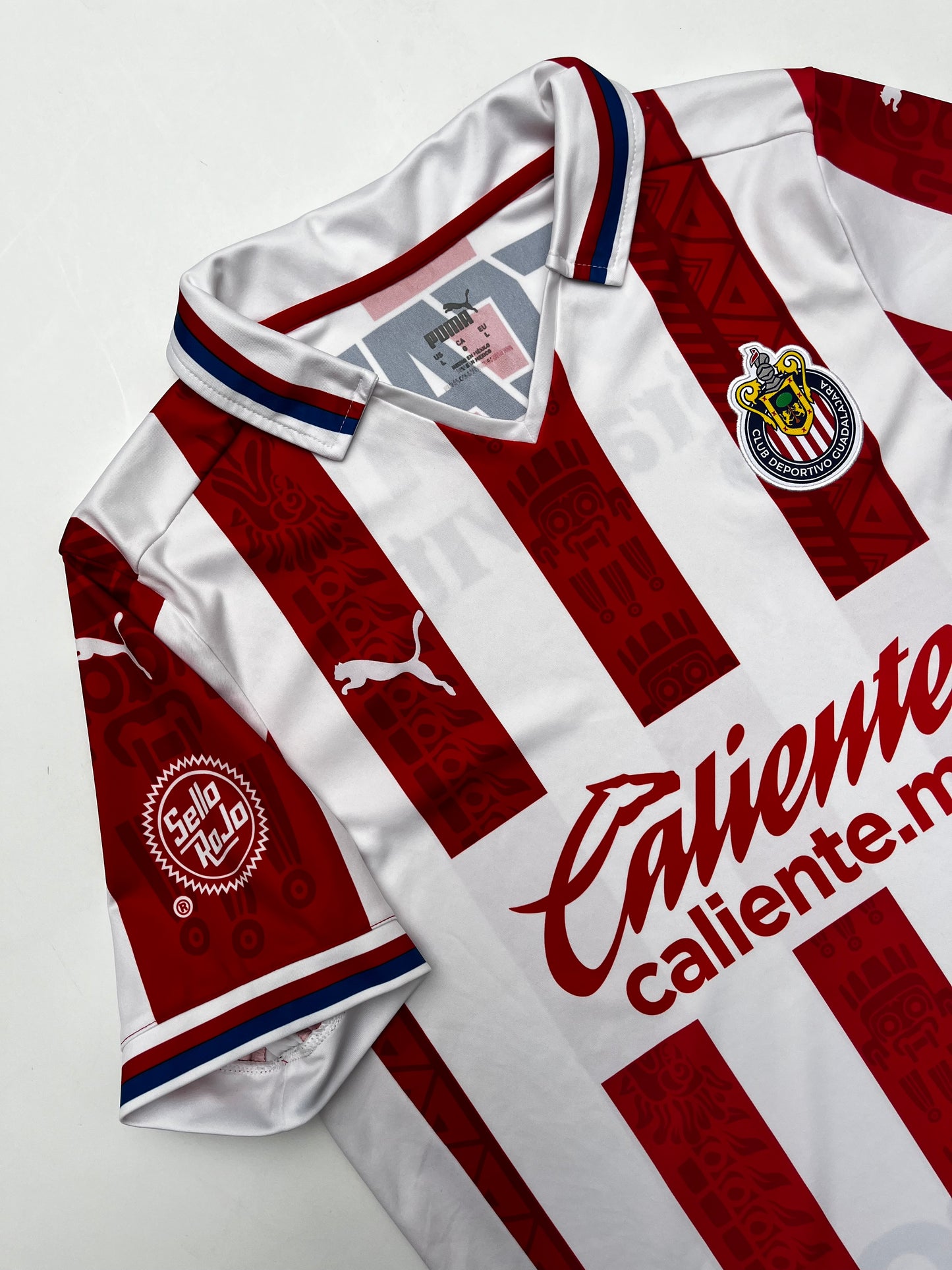 Jersey Chivas Local 2020 2021 (L)