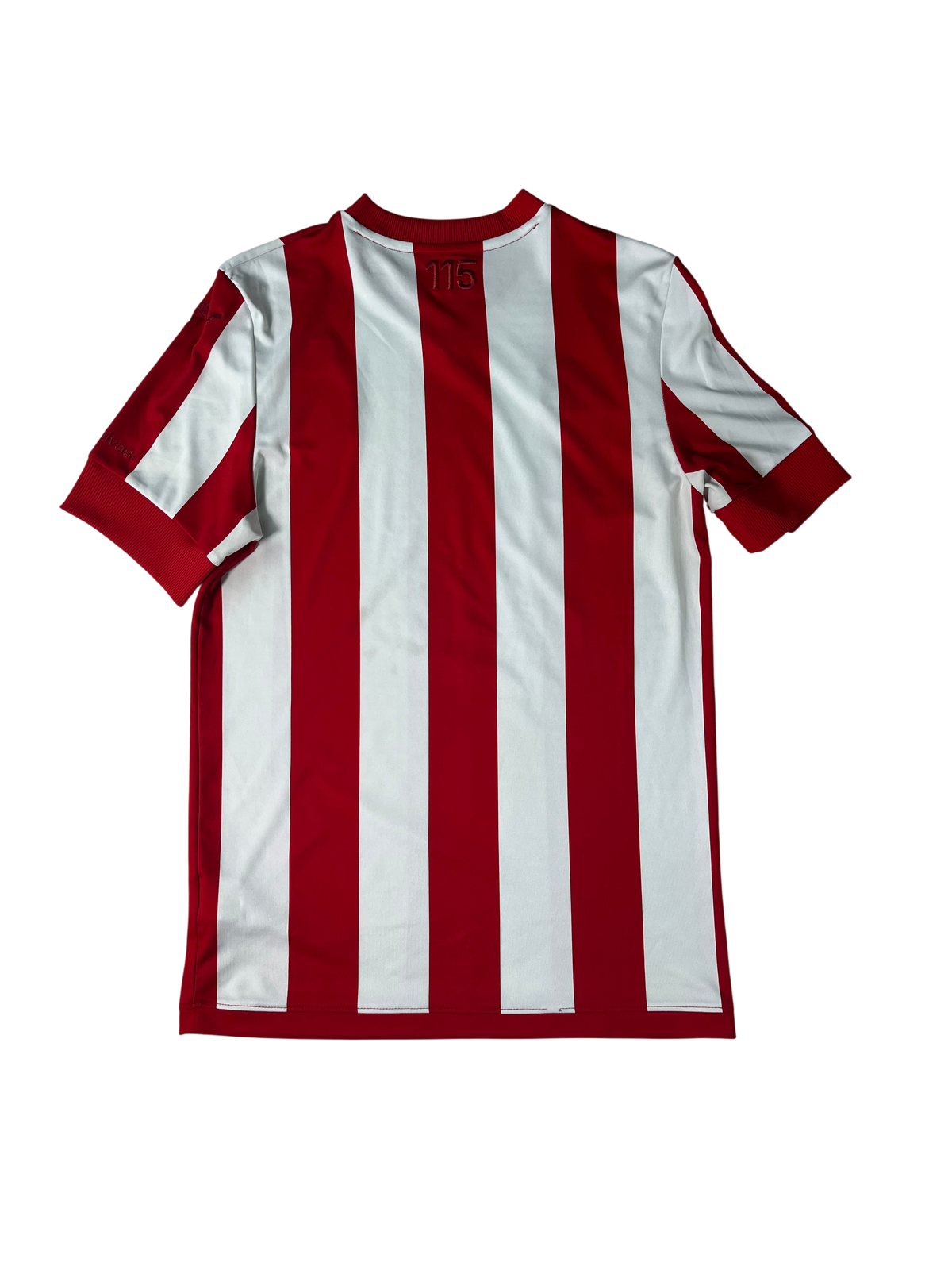 Jersey Chivas Especial 115 Aniversario 2020 2021 (S)
