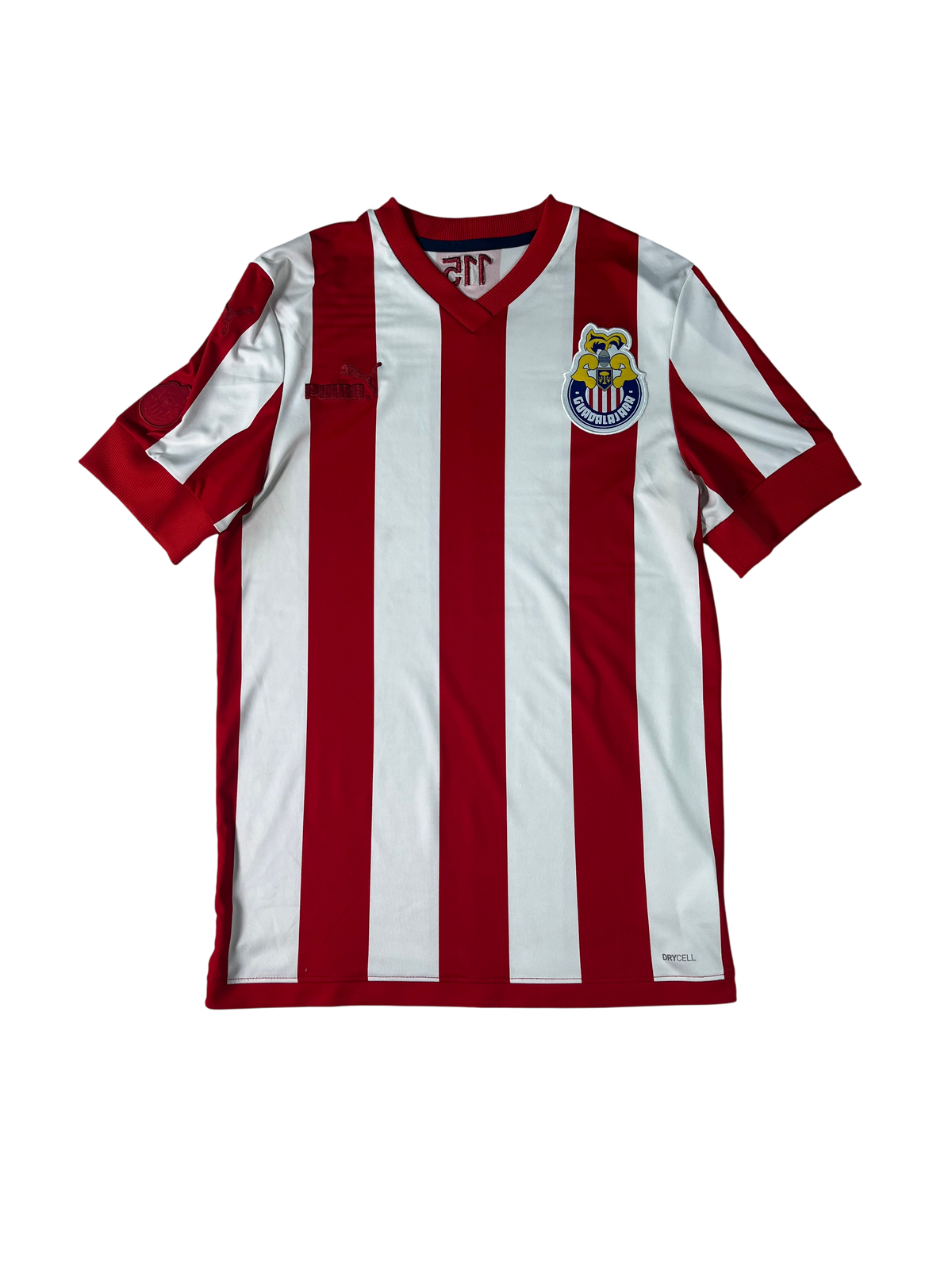 Jersey Chivas Especial 115 Aniversario 2020 2021 (S)