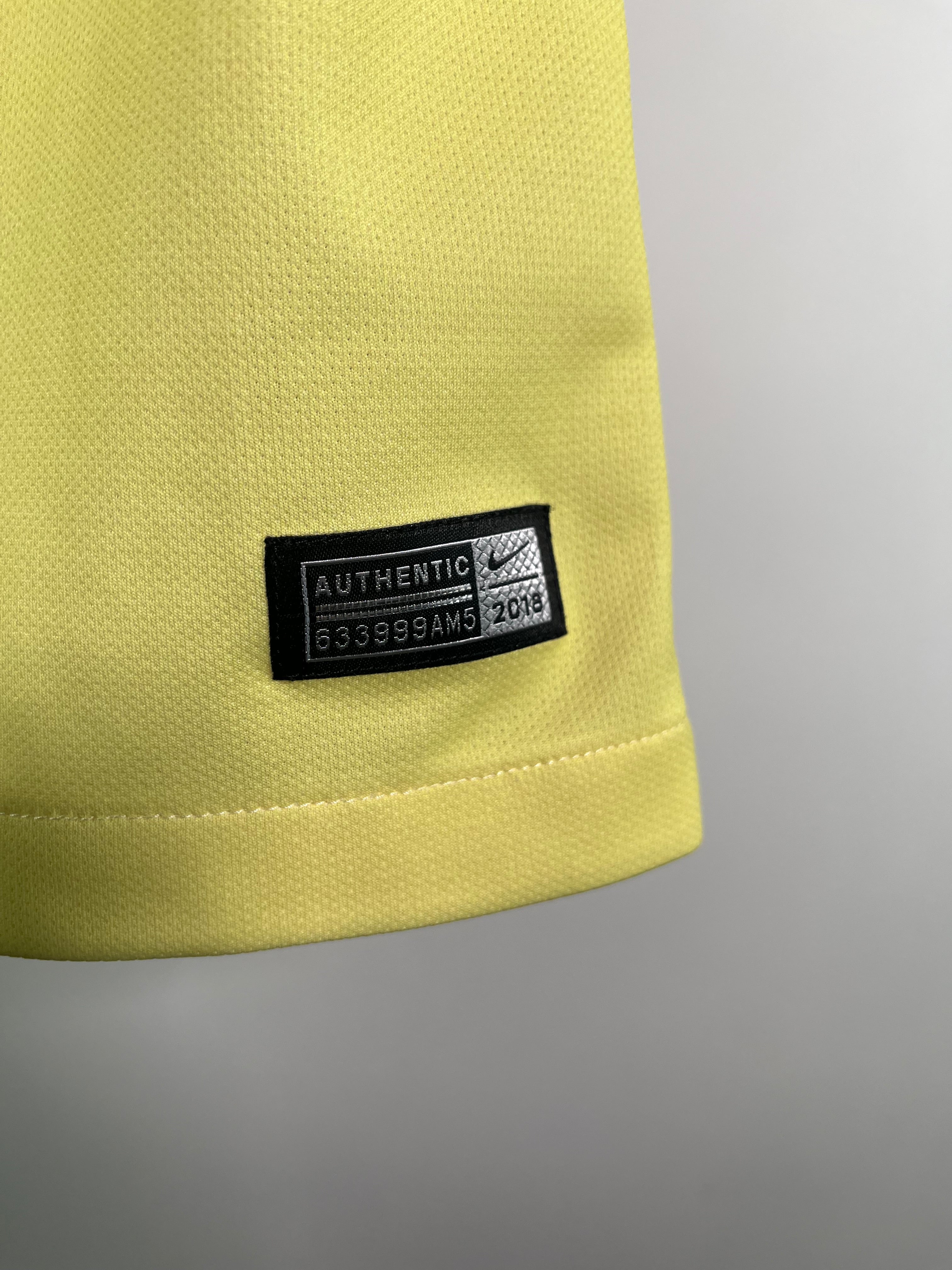 Club América Local 2018 2019 (S)