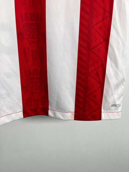 Jersey Chivas Local 2020 2021 Versión Jugador (M)