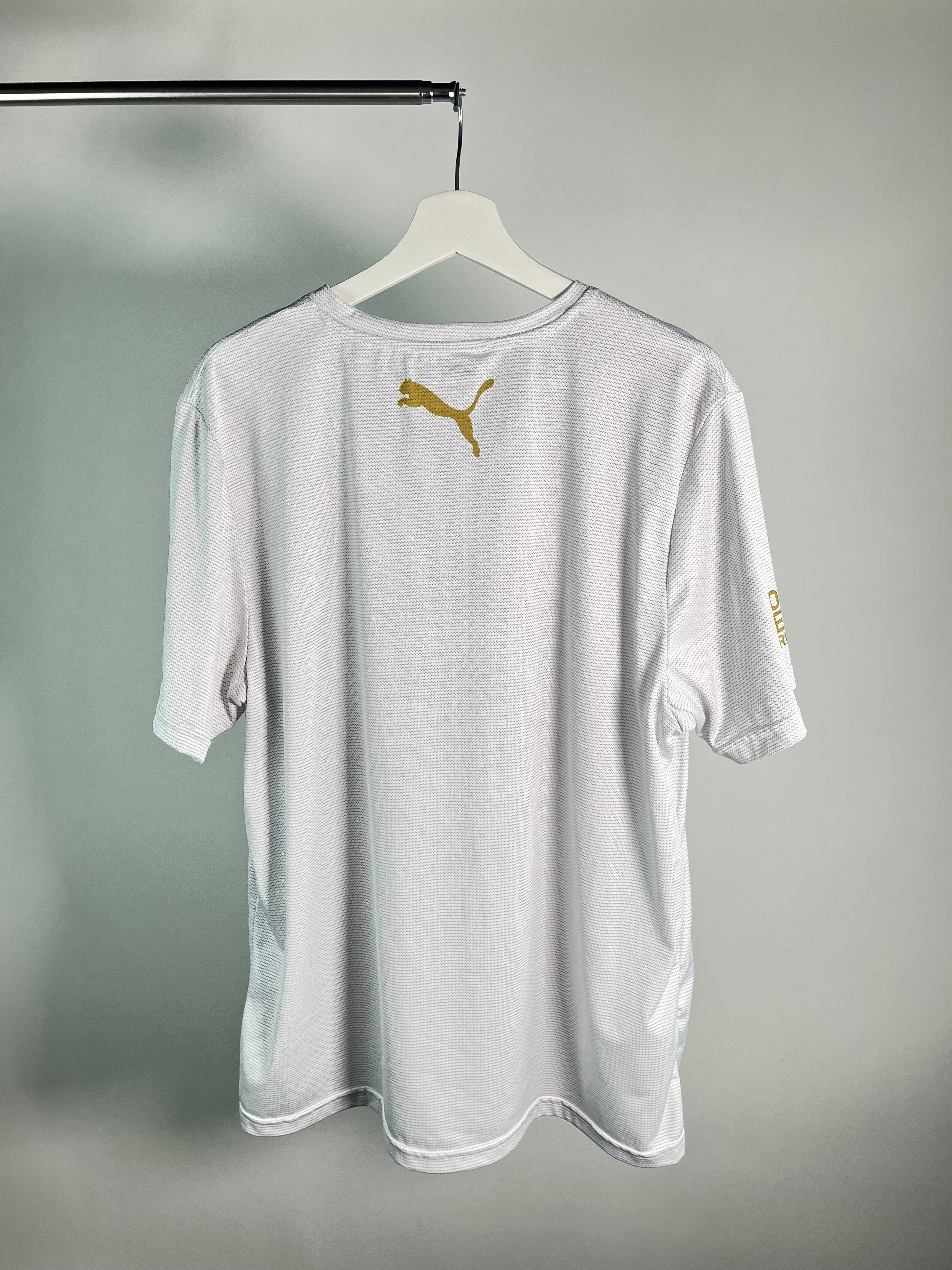 Jersey Pumas Especial 2011 (L)