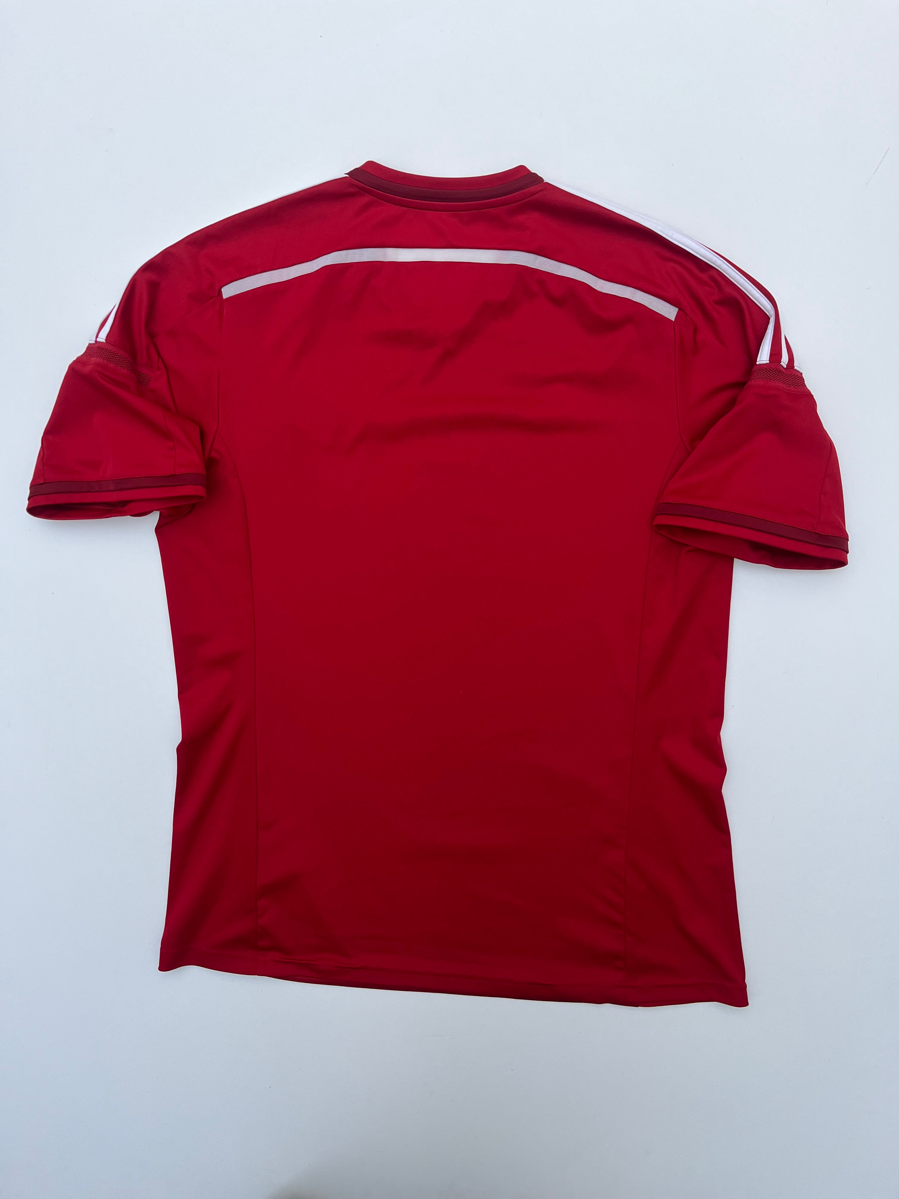 Jersey Dinamarca Local 2014 2015 (L)