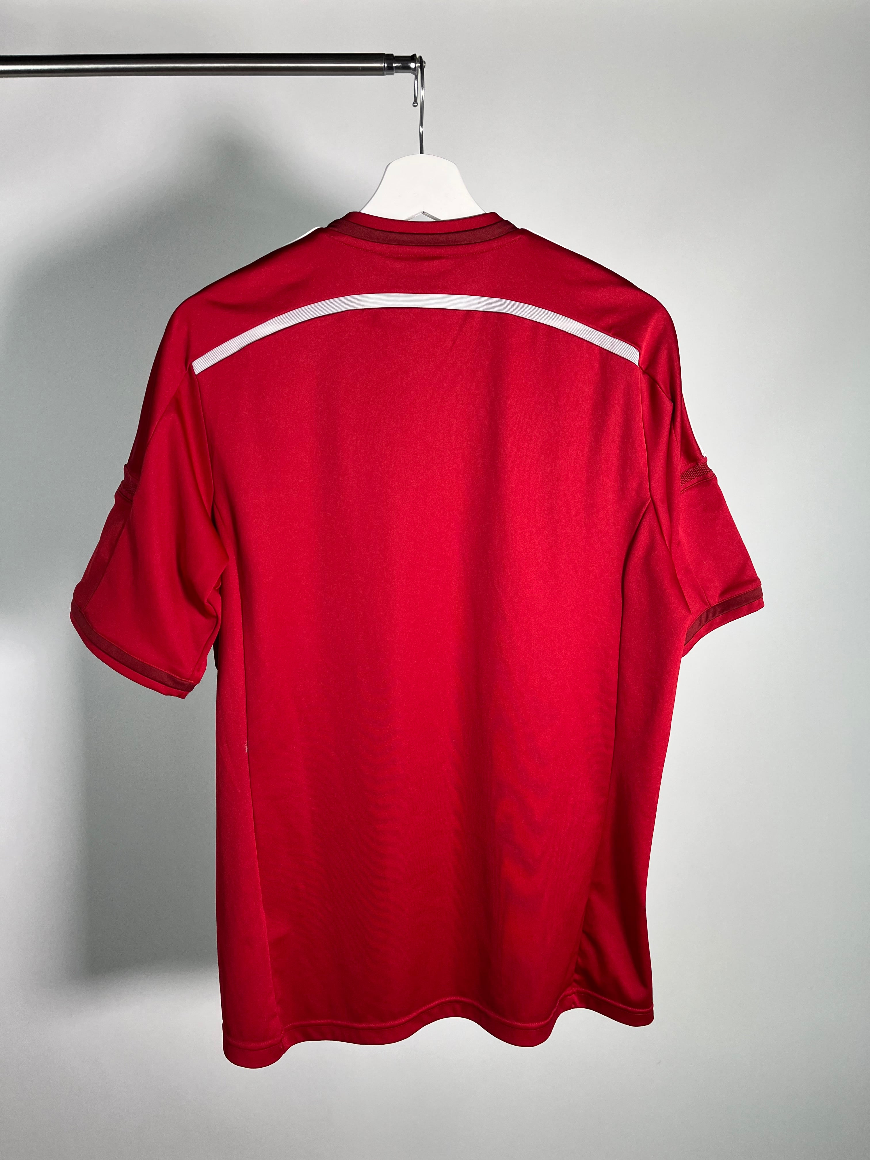 Jersey Dinamarca Local 2014 2016 (M)