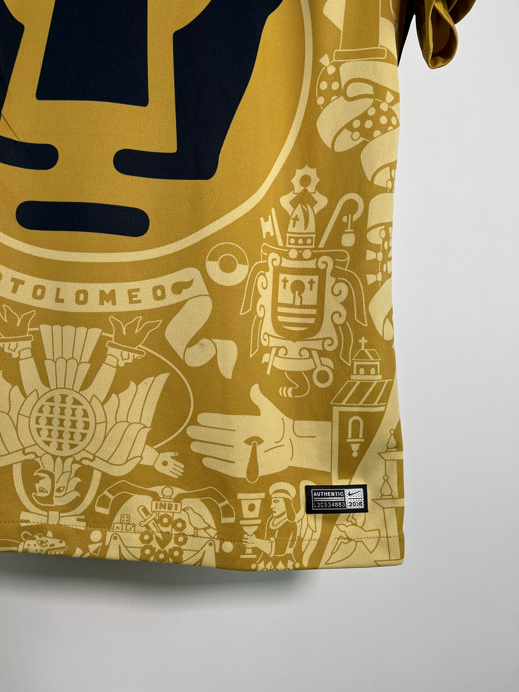 Jersey Pumas Local 2016 2017 *Mural* Darío Verón (L)