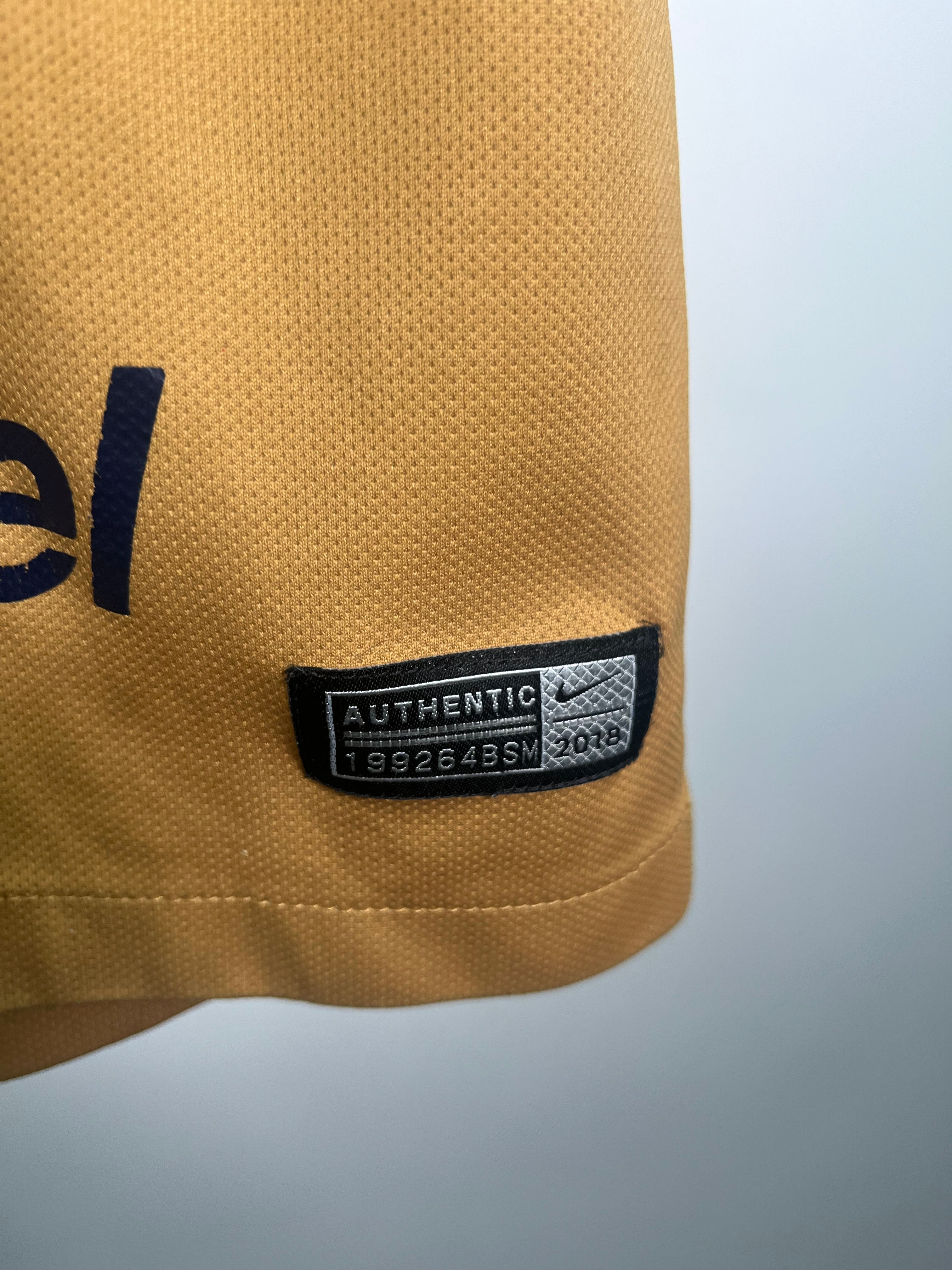Jersey Pumas Especial *Dia De Muertos" 2018 2019 (S)