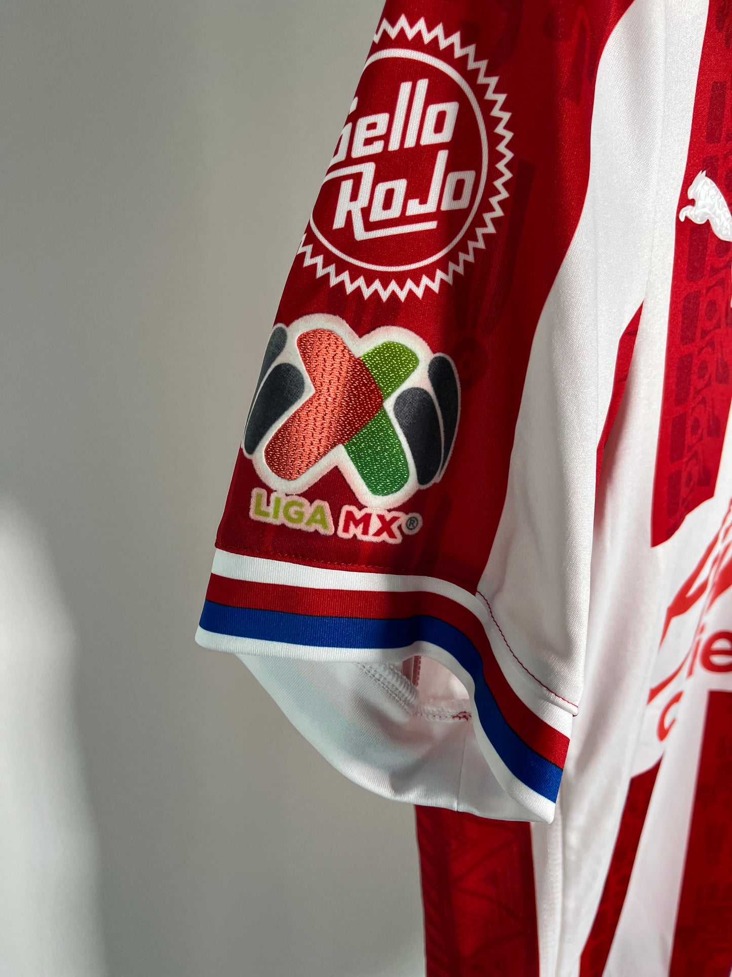 Jersey Chivas Local 2020 2021 Versión Jugador (M)