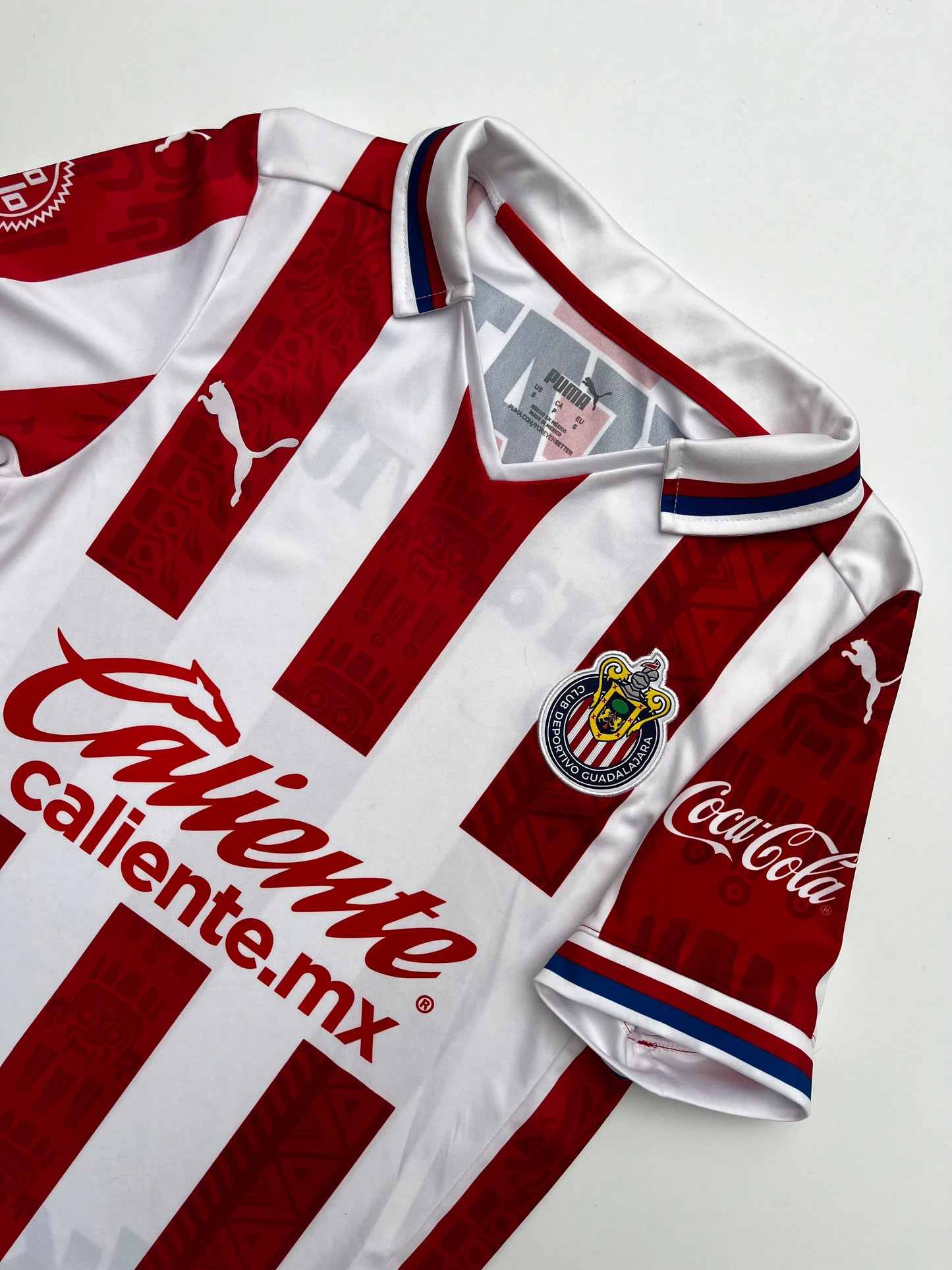 Jersey Chivas Local 2020 2021 (S)