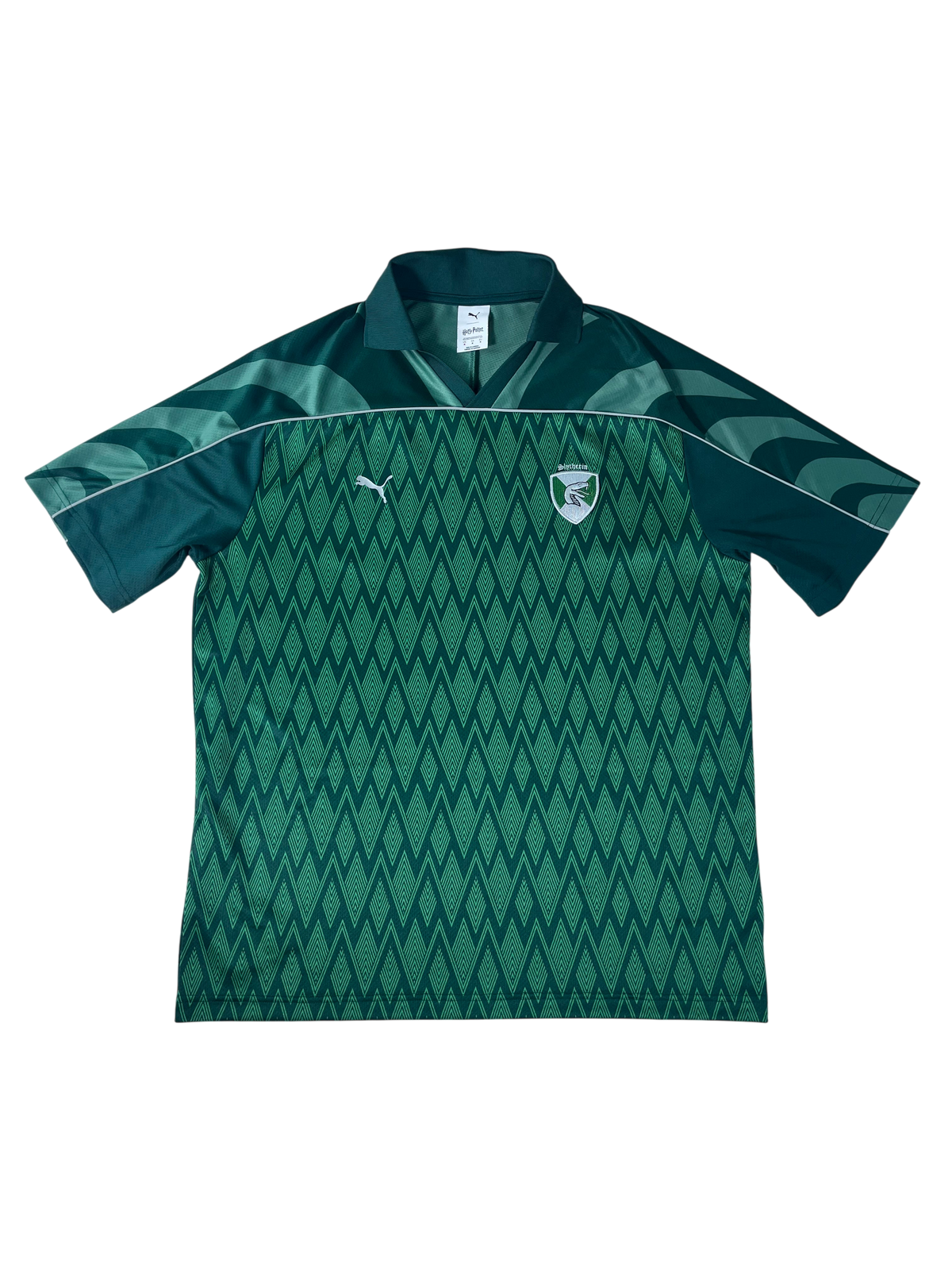 Jersey Harry Potter Slytherin Especial 2025 (M)