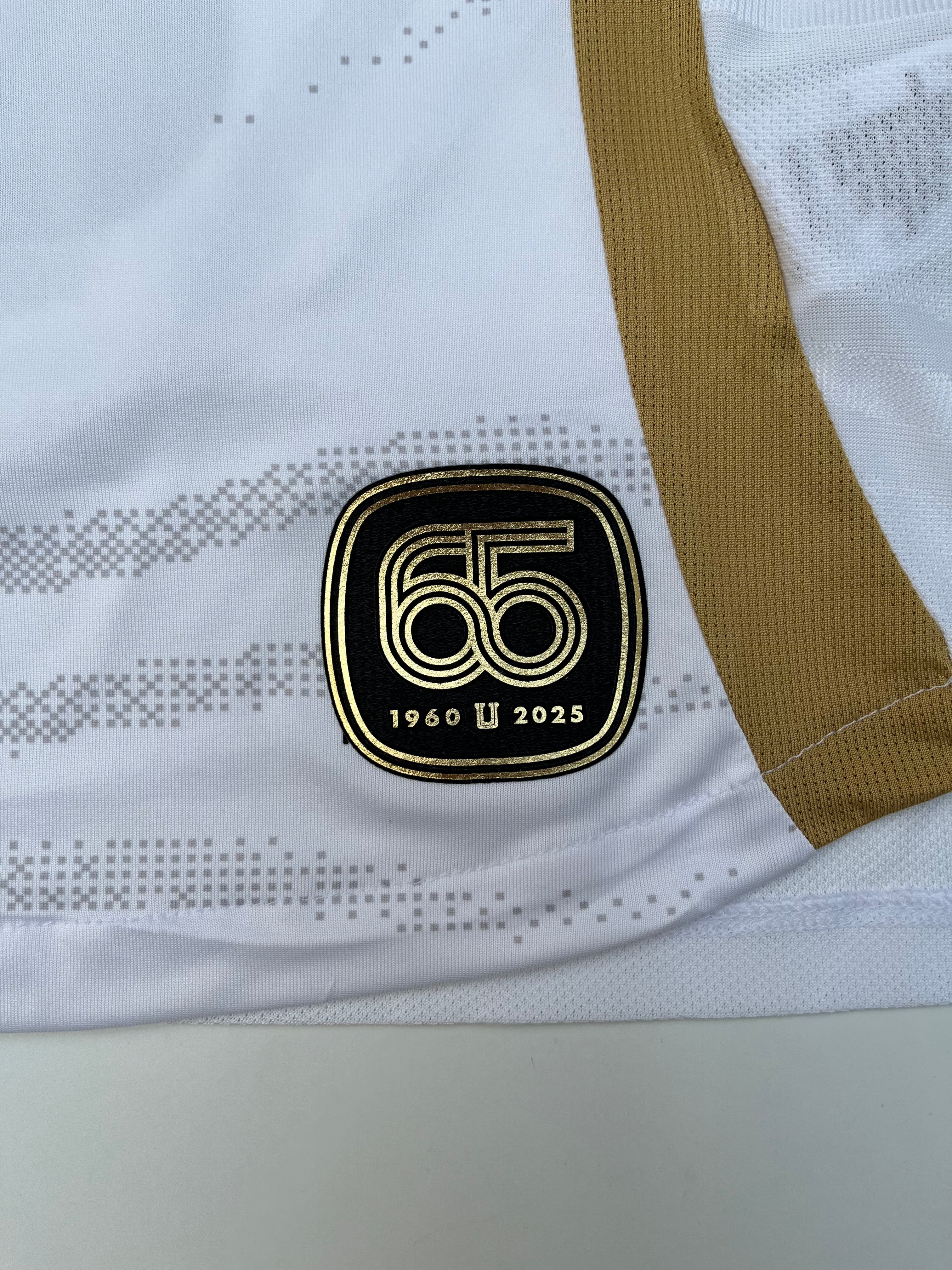 Jersey Tigres Tercero 2024 2025 Match Worn Eduardo Tercero (L)