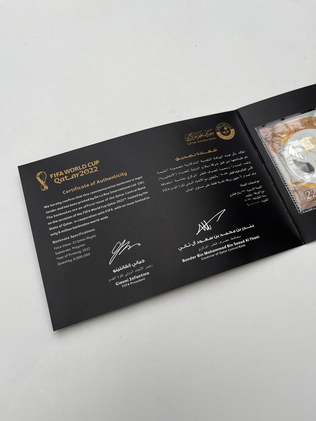 Billete Mundial Qatar 2022 Edición Especial
