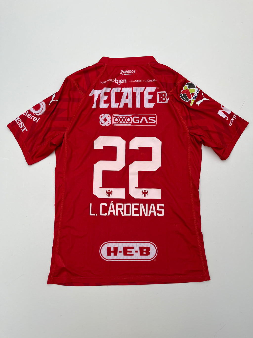 Jersey Rayados Monterrey Portero 2023 2024 Match Worn Luis Cárdenas (L)