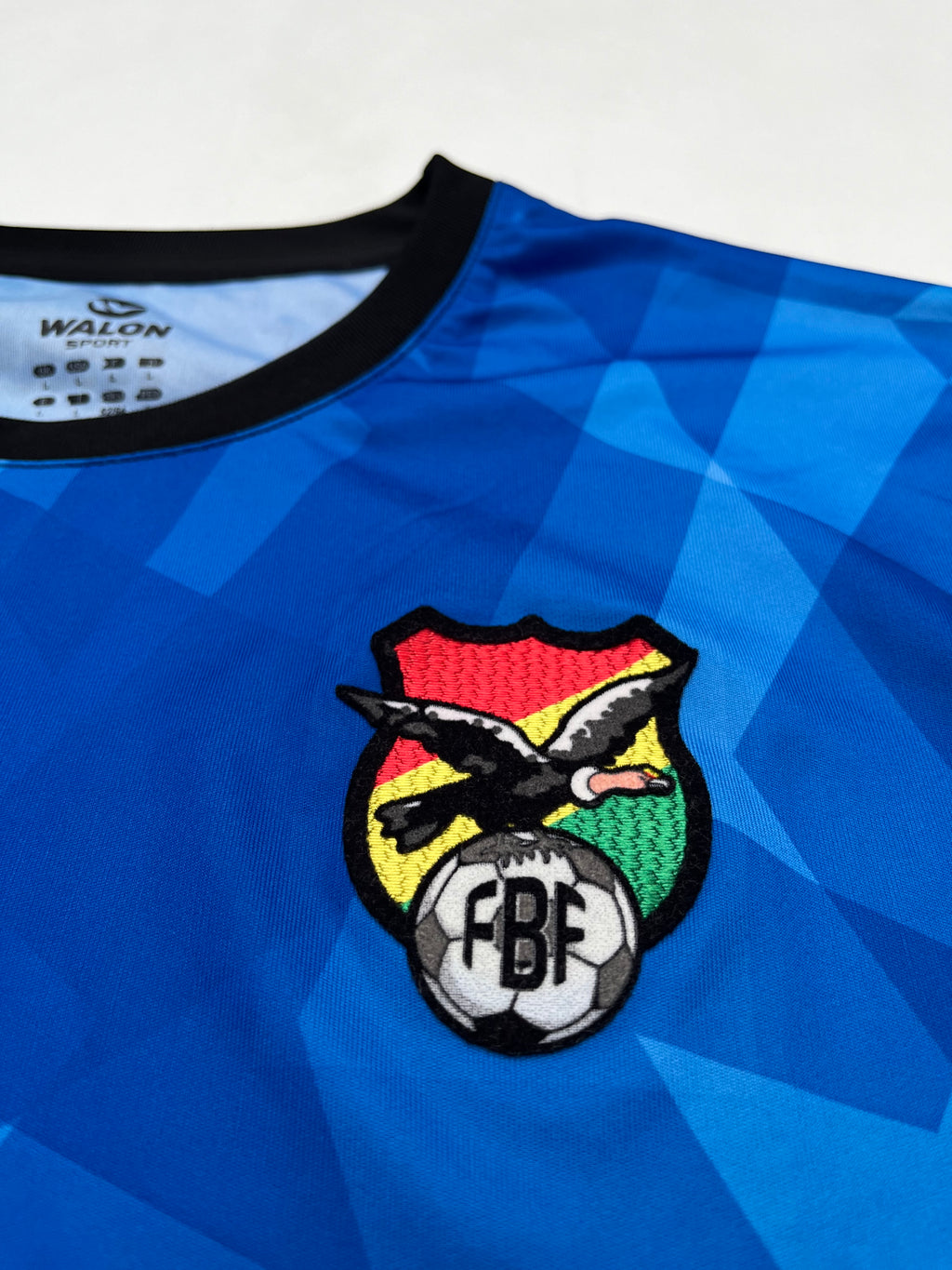 Jersey Bolivia Portero 2011 2012 (L)