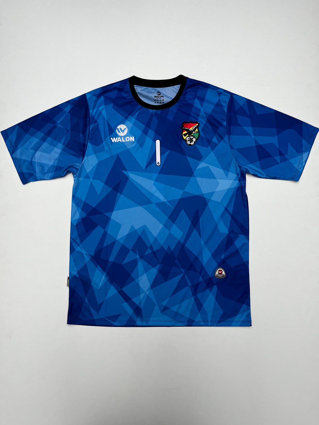 Jersey Bolivia Portero 2011 2012 (L)