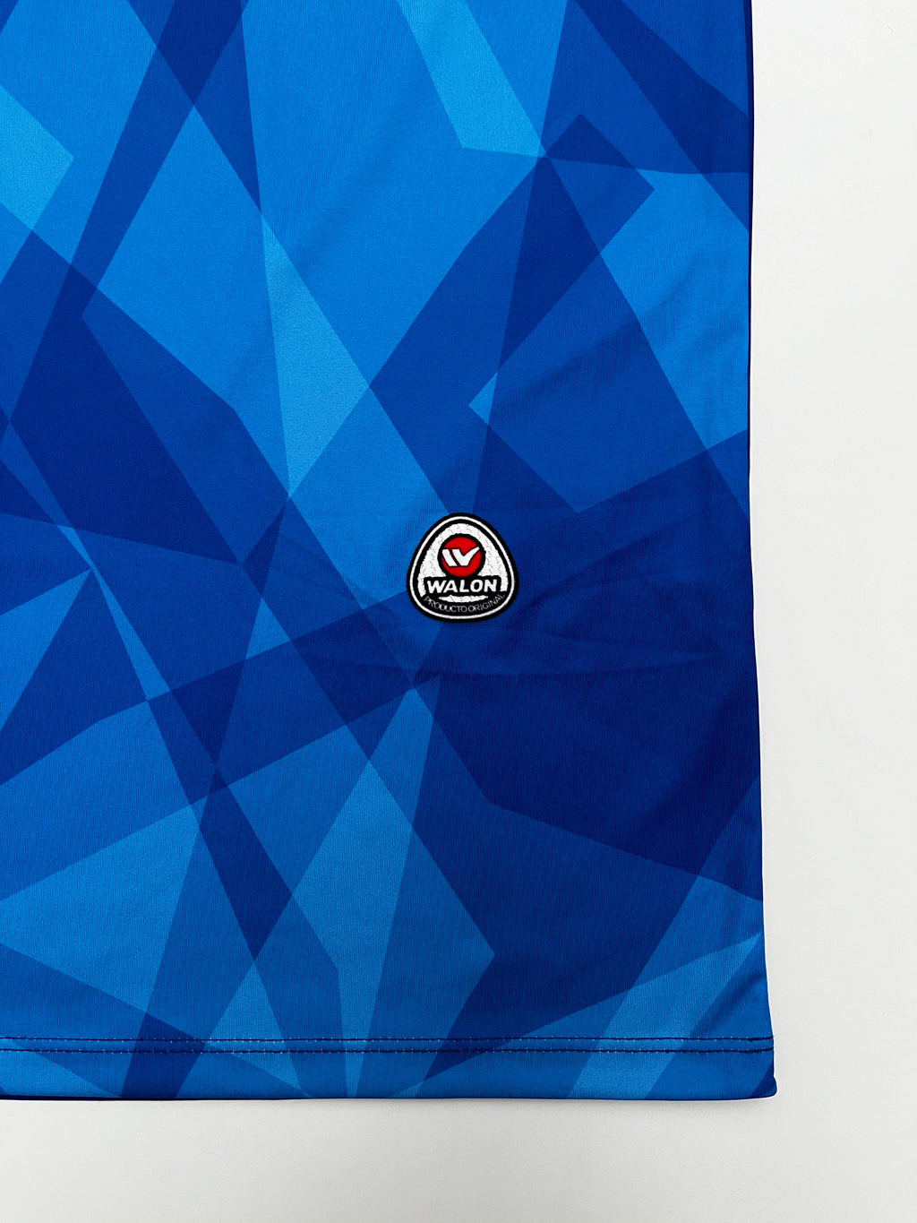 Jersey Bolivia Portero 2011 2012 (L)