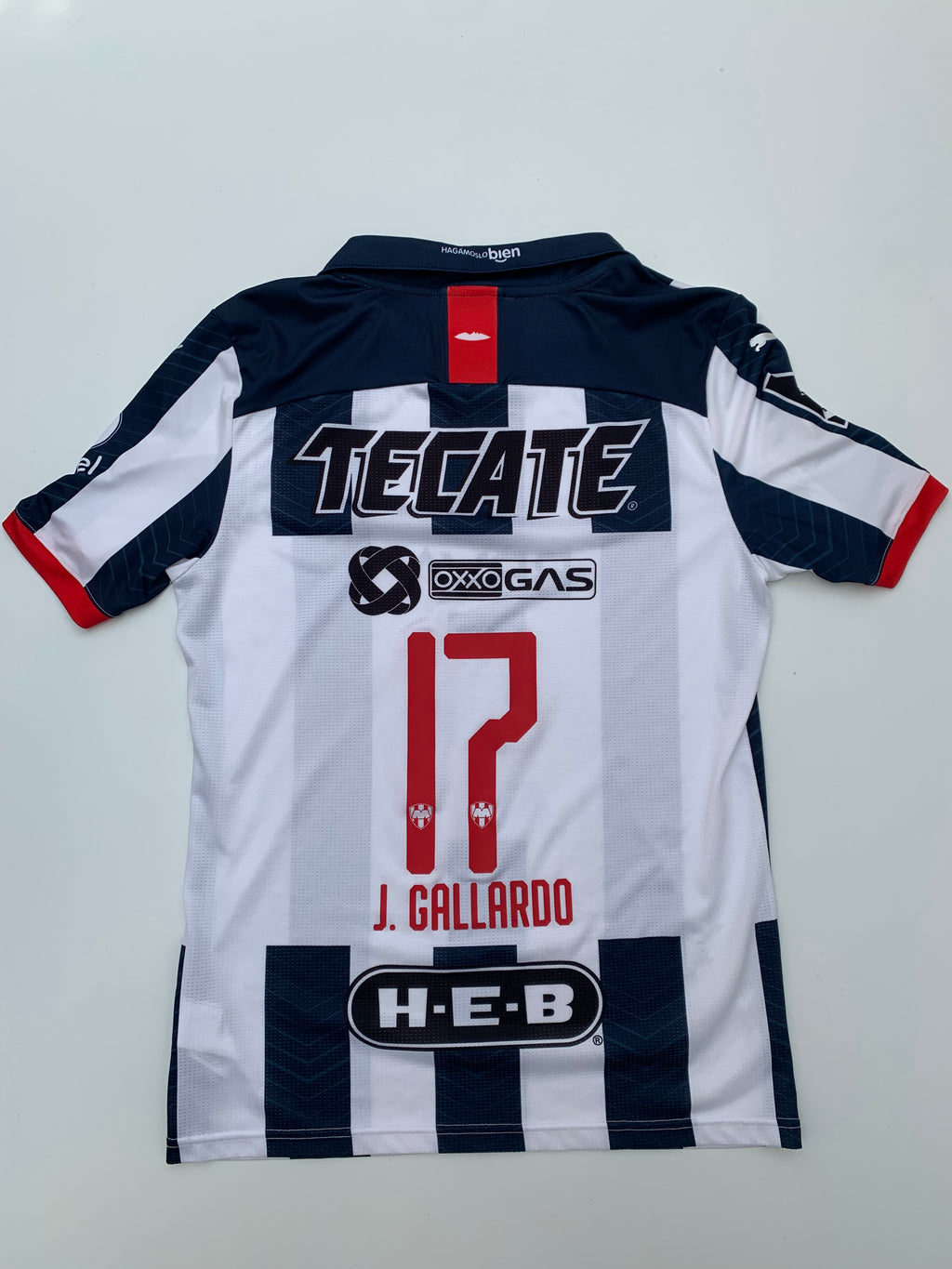Jersey Rayados Monterrey Local 2019 2020 Match Worn Jesús Gallardo (L)