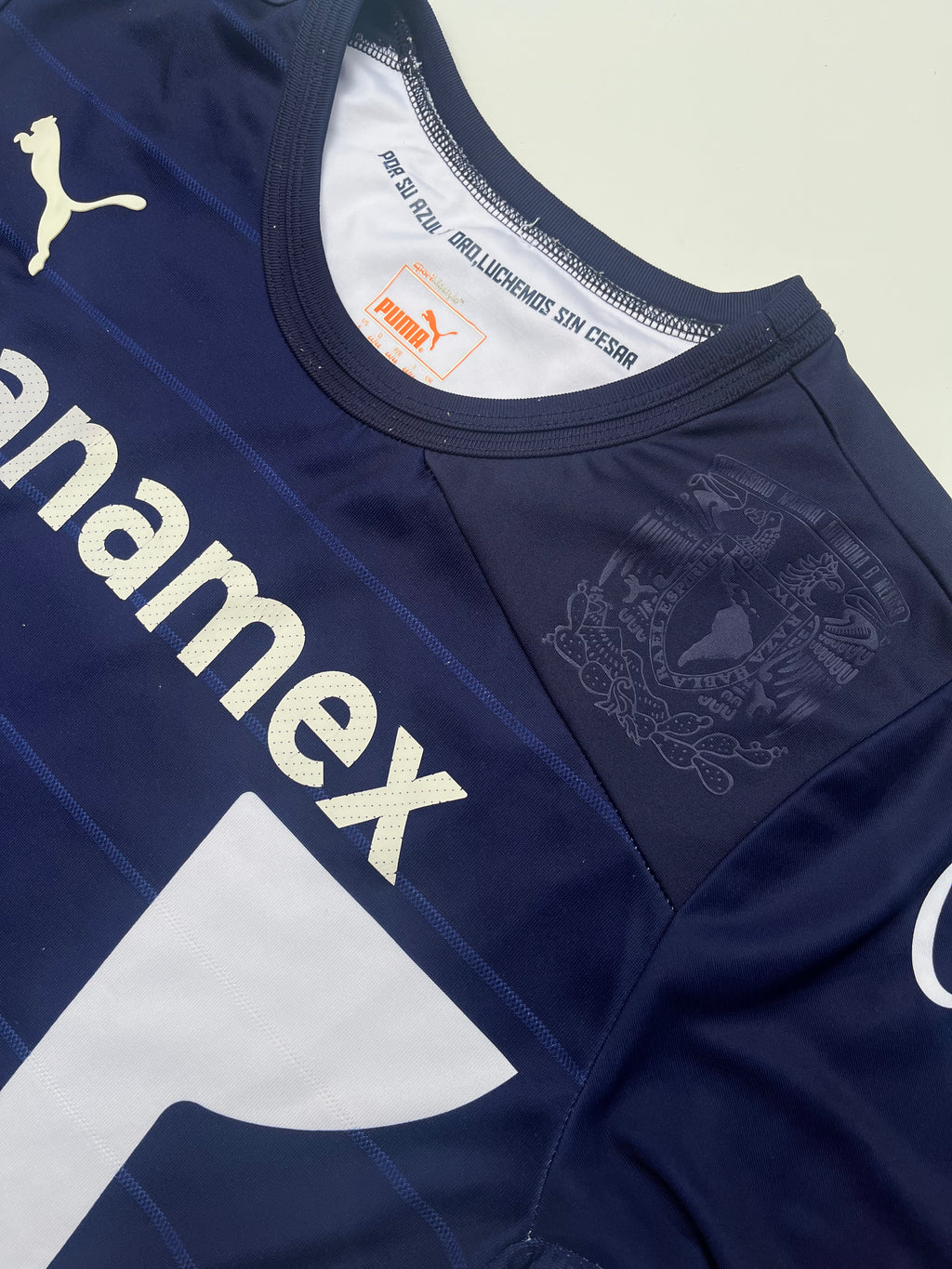 Jersey Pumas Tercero 2012 2013 (S)