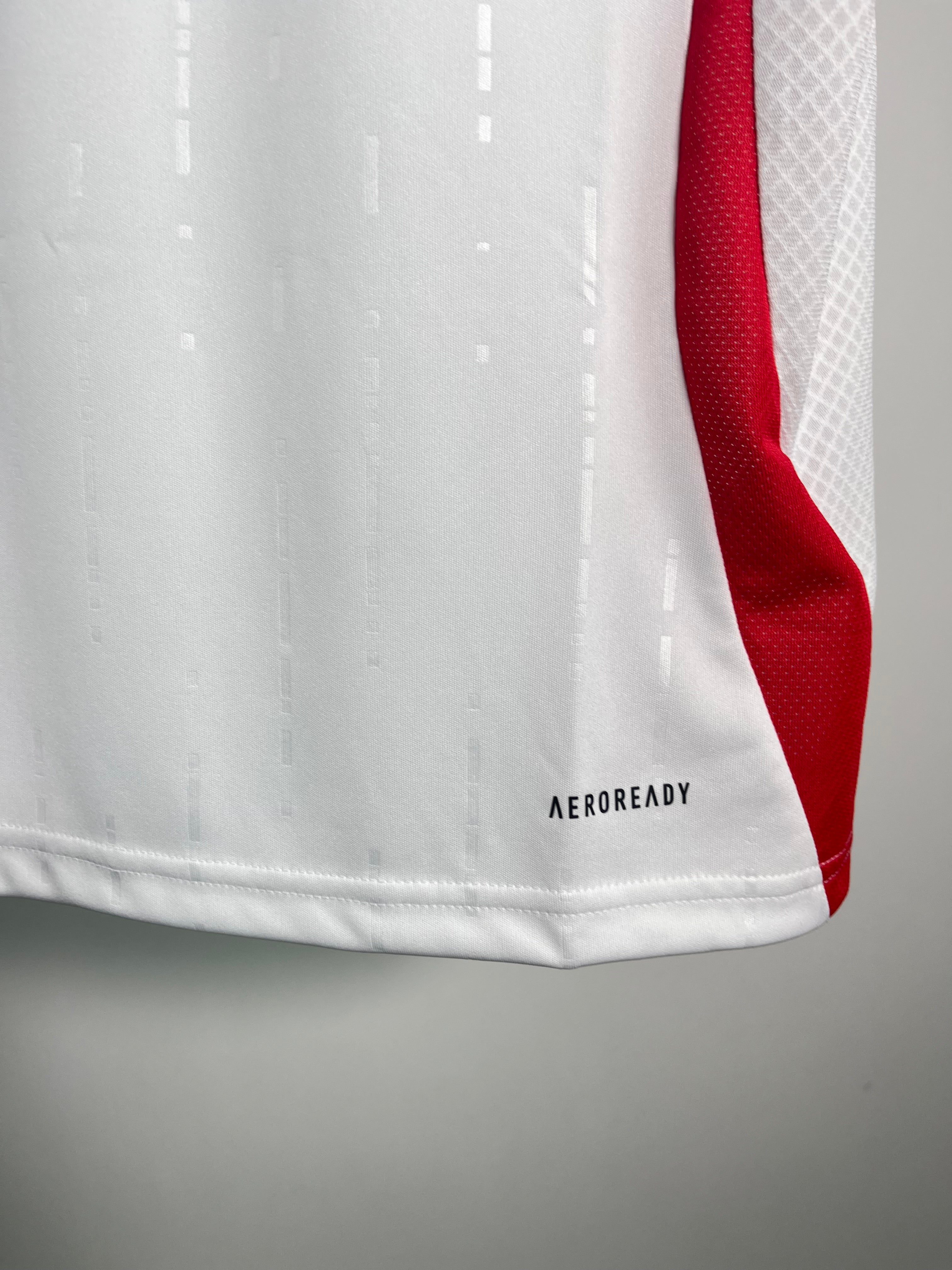 Jersey Italia Visita 2024 2025 *C/Etiquetas* (M)