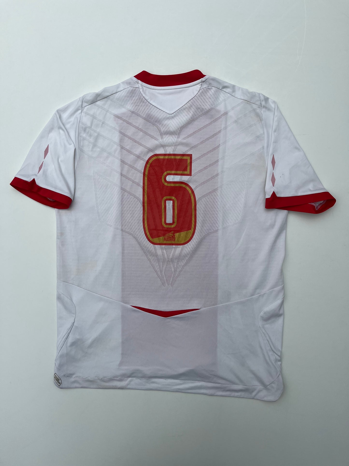Jersey Birmingham Visita 2008 2009 (XL)