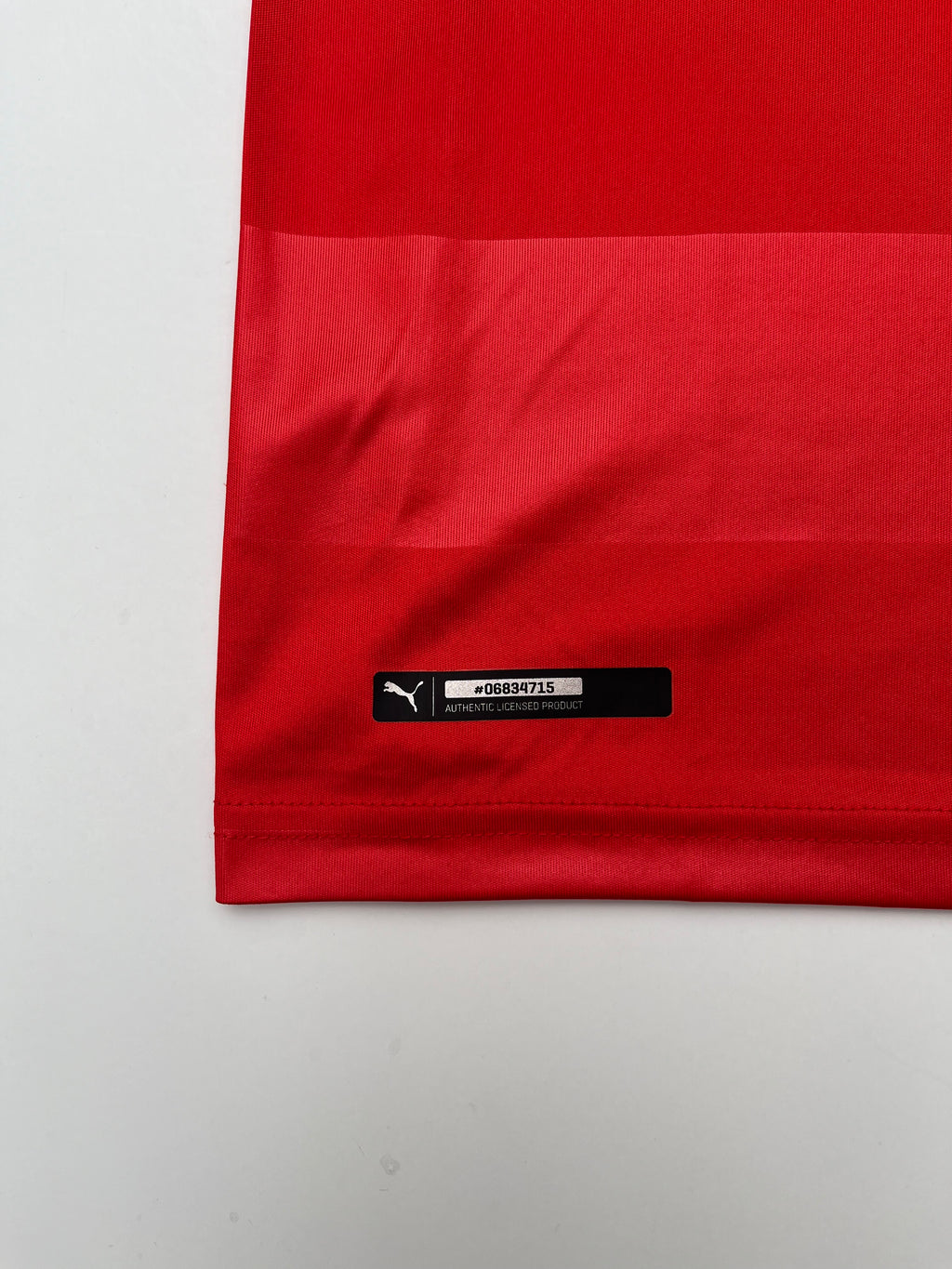 Jersey Suiza Local 2016 2018 (L)