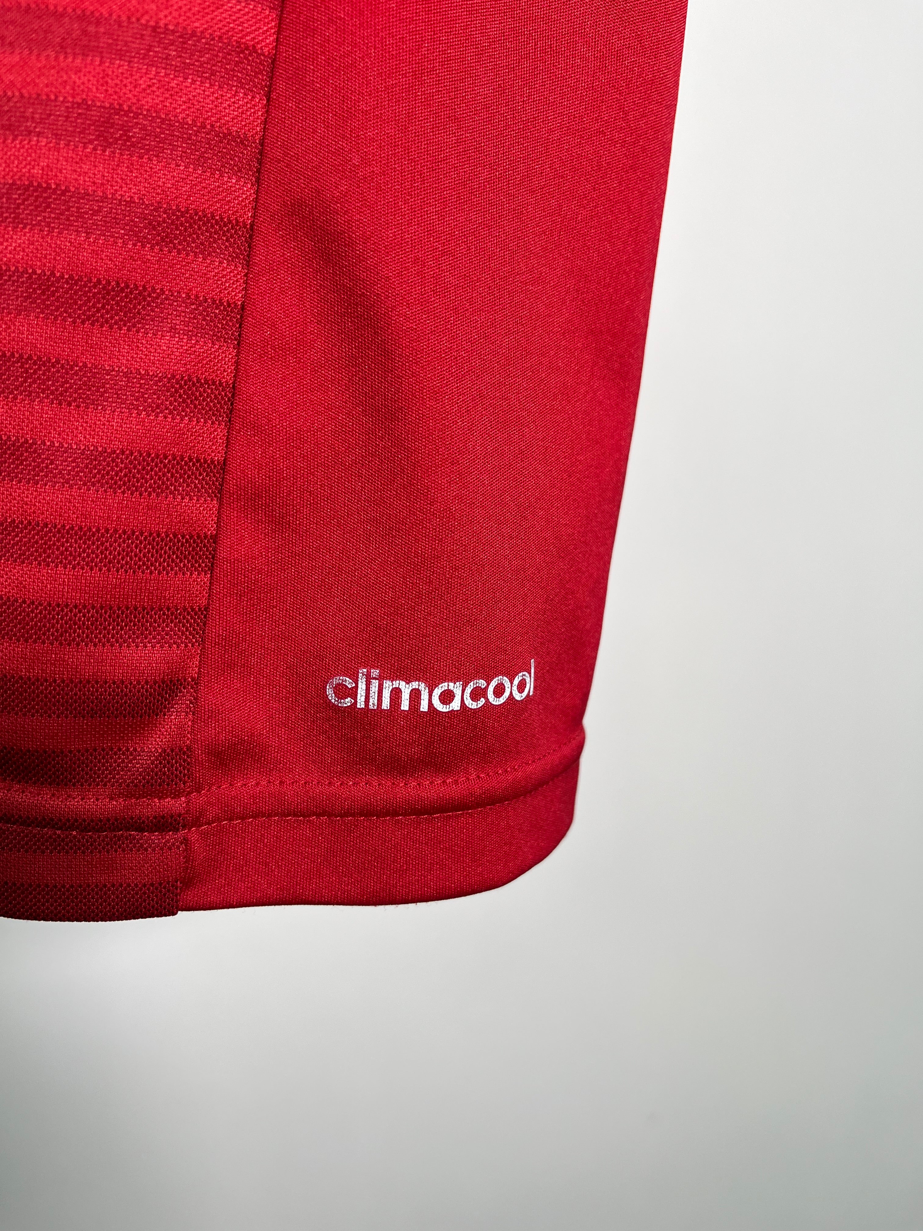 Jersey Dinamarca Local 2014 2016 (M)