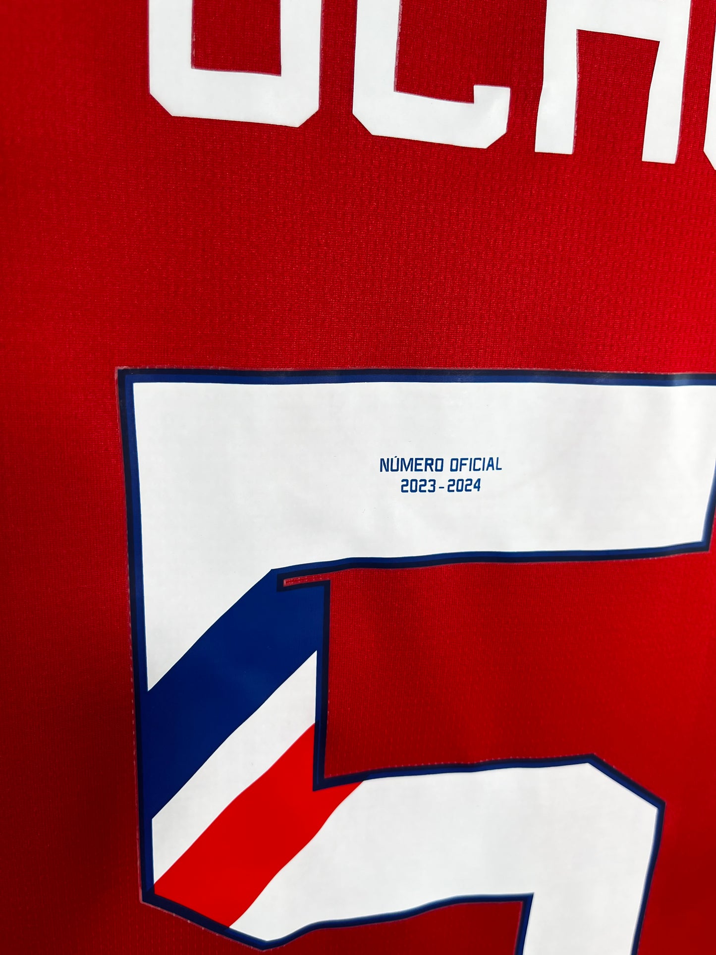 Jersey Chivas Local 2023 2024 Víctor “Pocho” Guzmán (L)