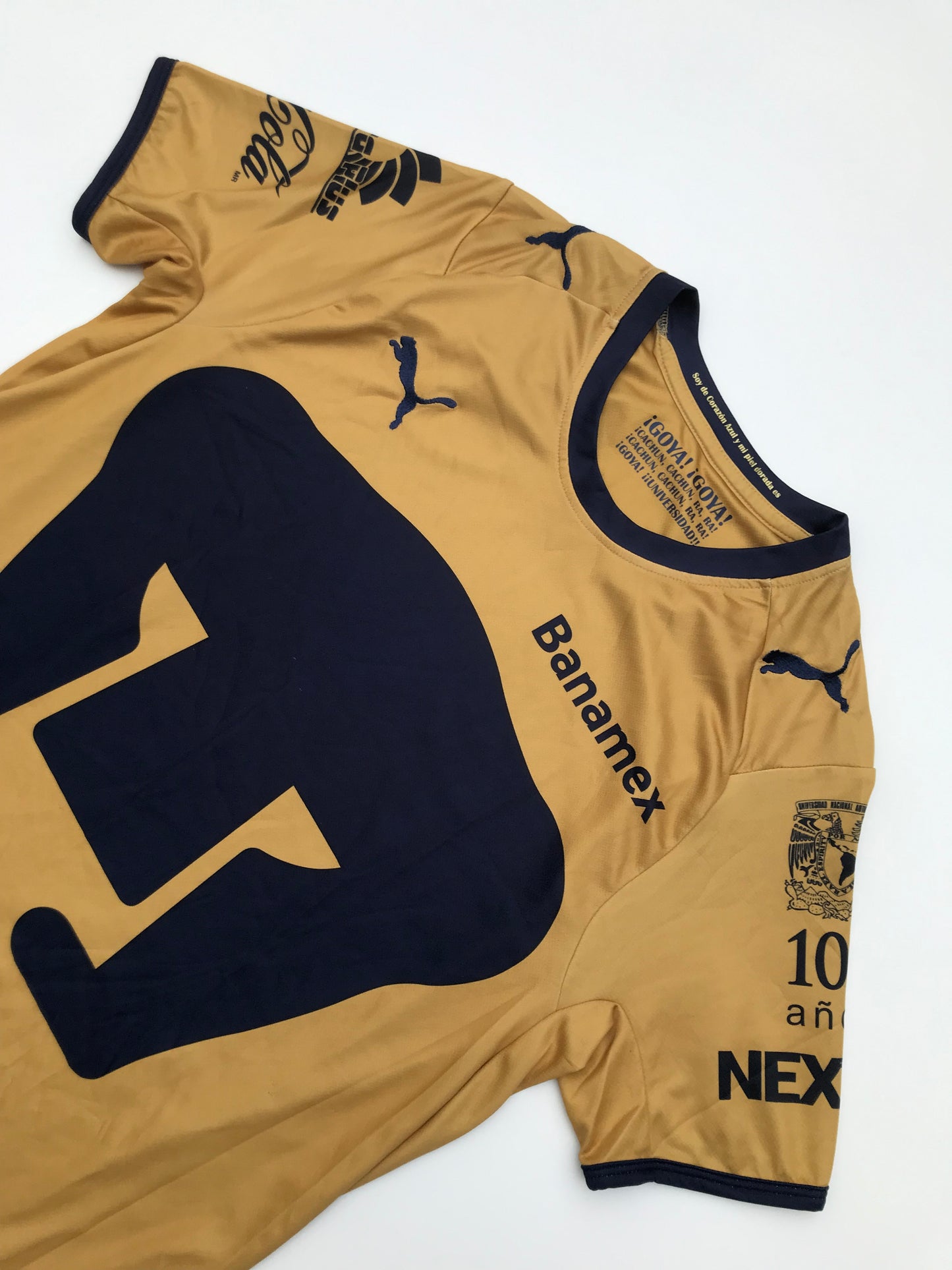 Jersey Pumas Especial / Quinta 2009 2010 (S)