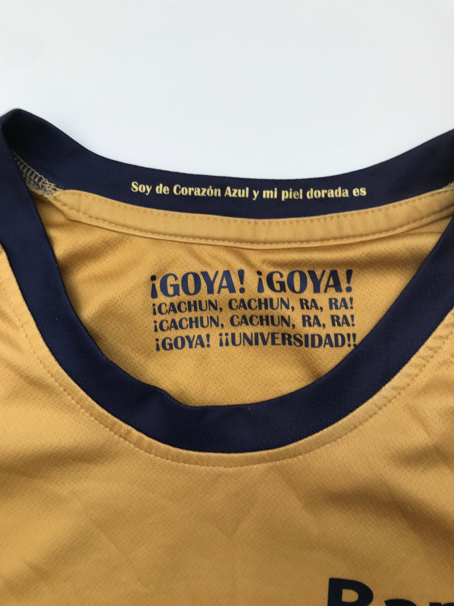 Jersey Pumas Especial / Quinta 2009 2010 (S)