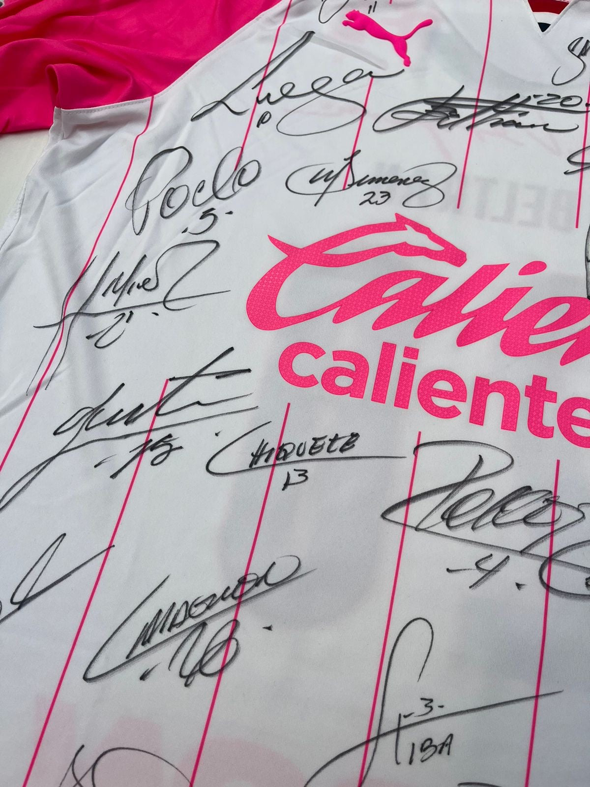 Jersey Chivas Pink Project 2021 2022 Autografiado Match Worn Fernando Beltrán (L)