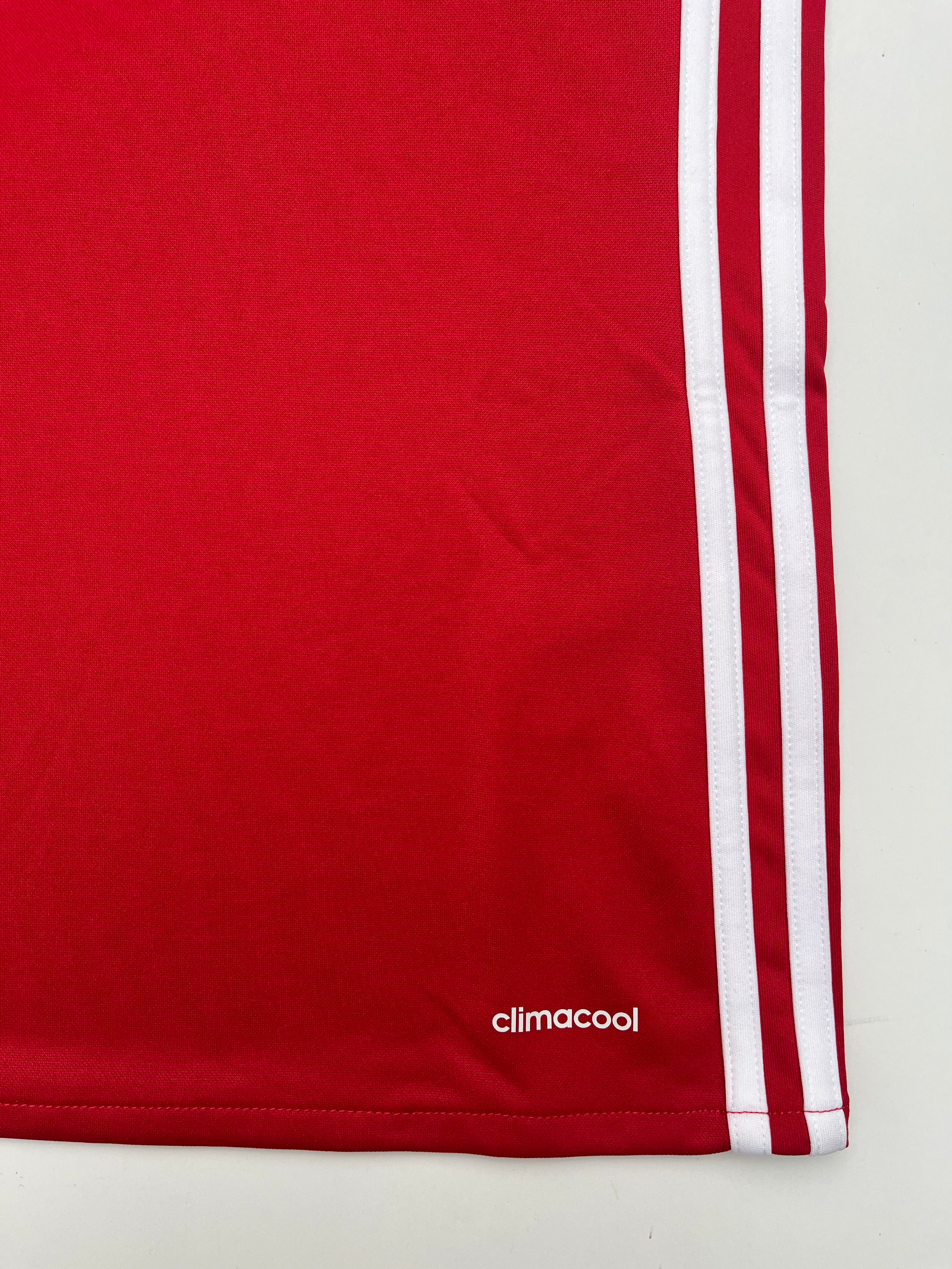 Manchester United Home Jersey 2016 2017 Zlatan Ibrahimovic (M)