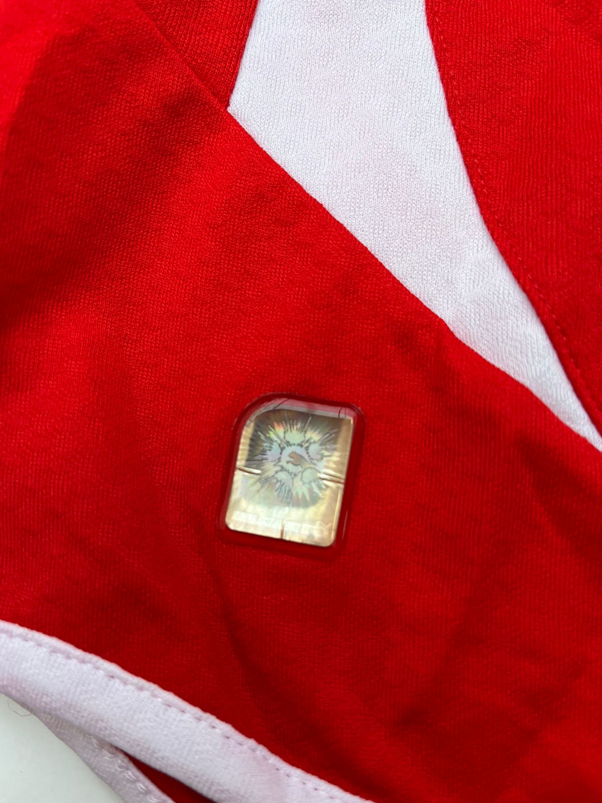 Jersey Austria Local 2010 2011 (L)