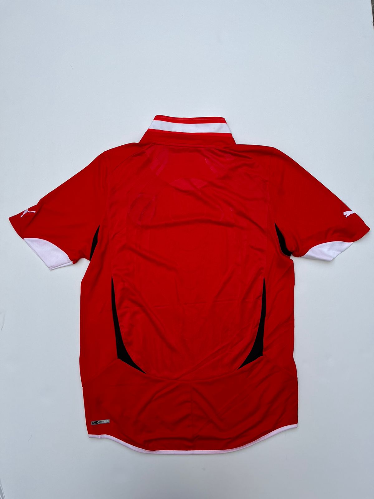 Jersey Austria Local 2010 2011 (L)